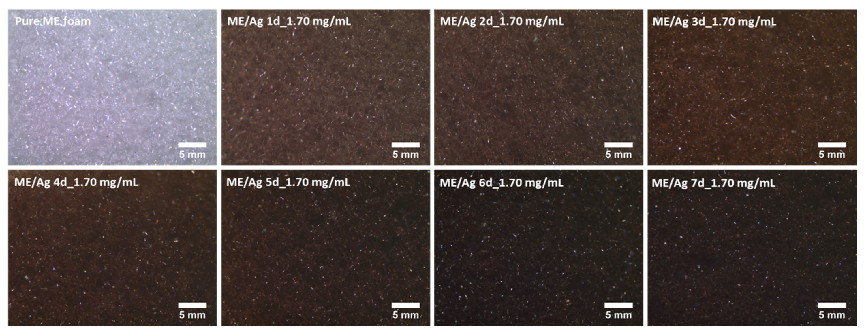 Polymers 12 00996 g003 Polymers 12 00996 g003