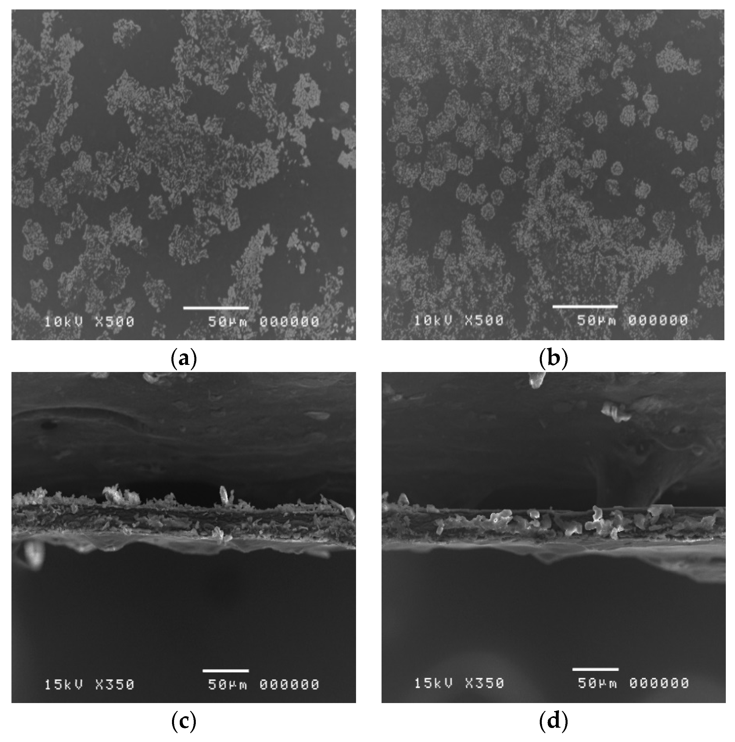 Polymers 12 01006 g007 Polymers 12 01006 g007