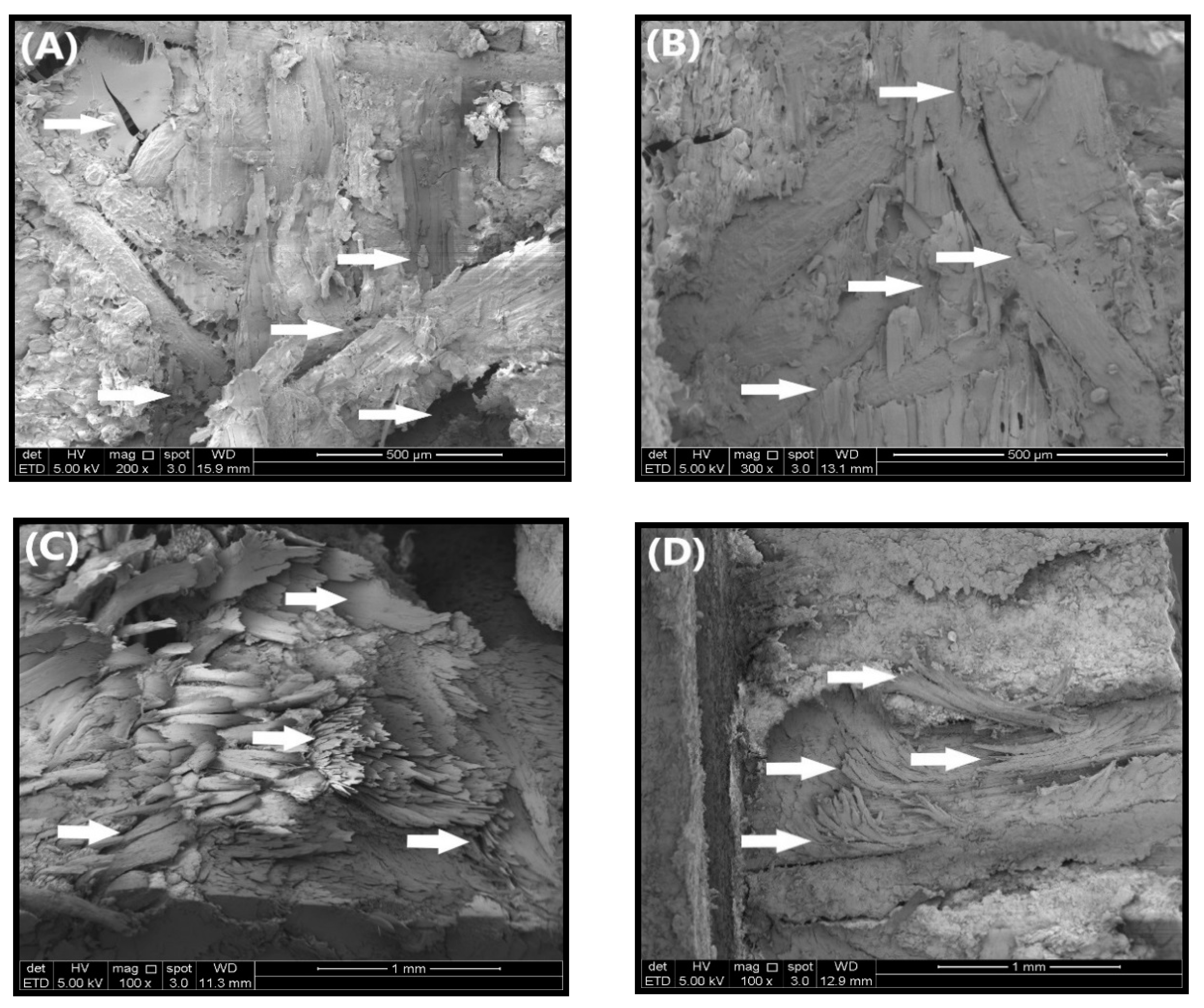 Polymers 12 01007 g009