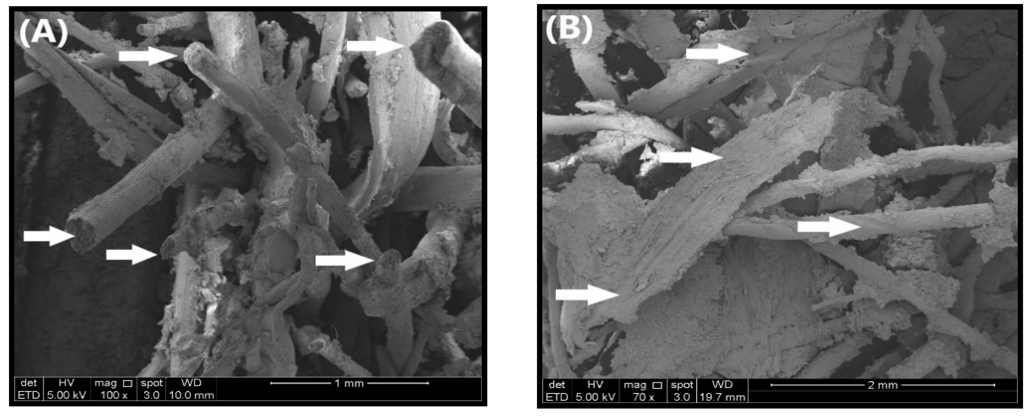 Polymers 12 01007 g011a