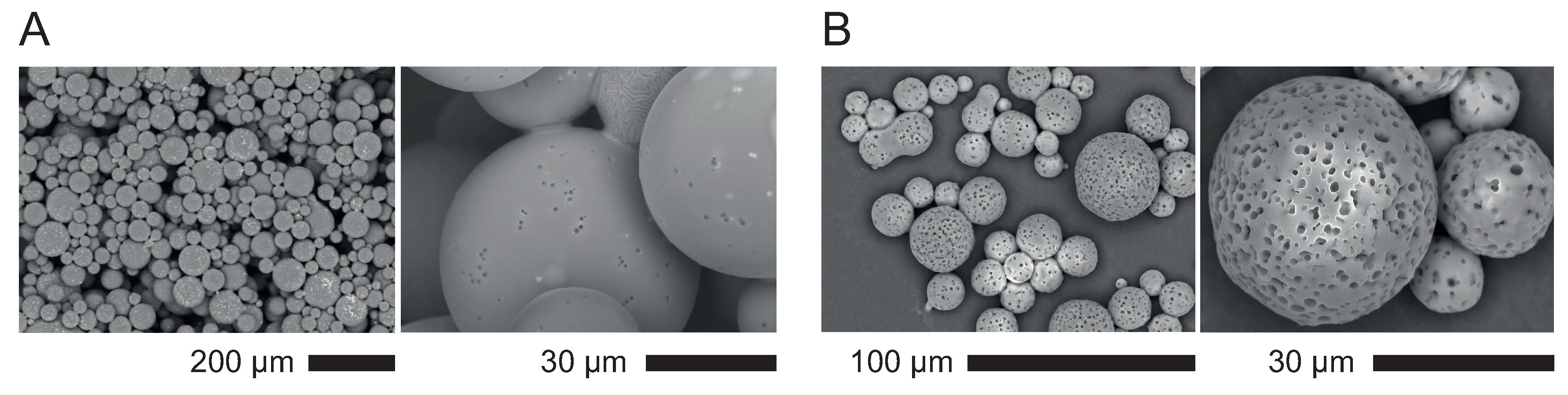Polymers 12 01008 g007 Polymers 12 01008 g007