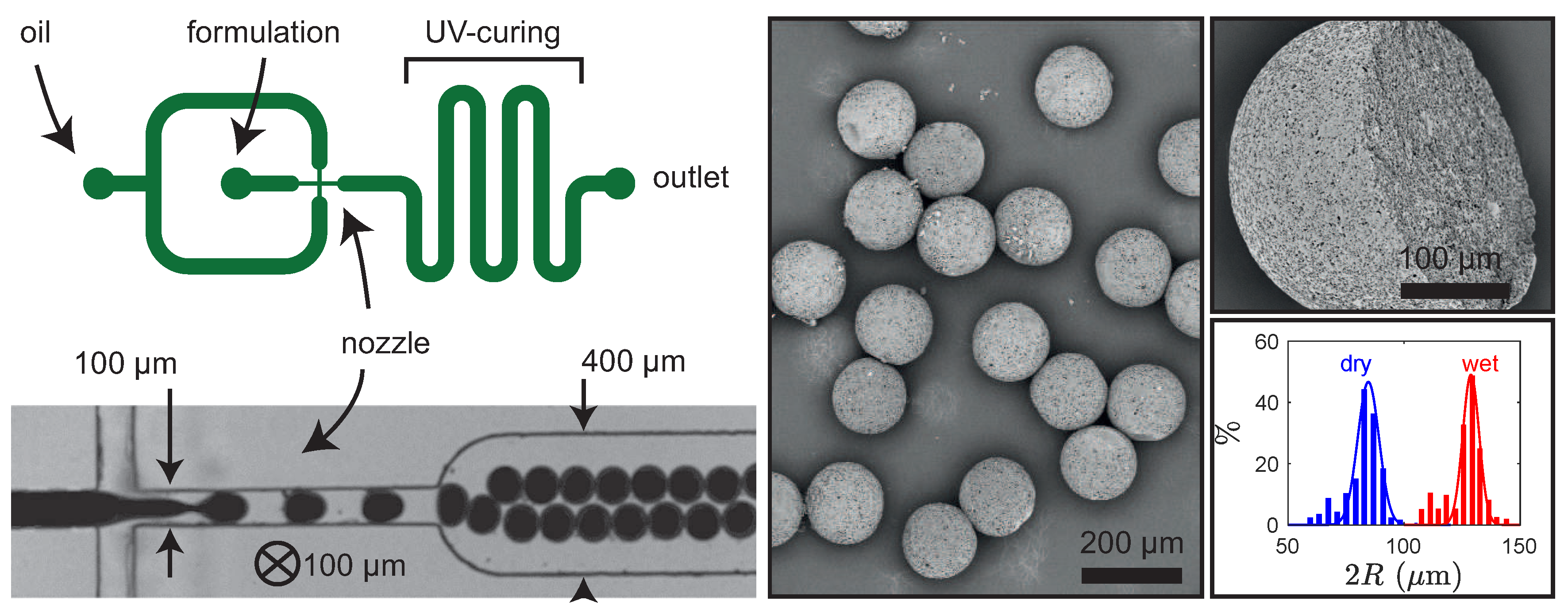 Polymers 12 01008 g008 Polymers 12 01008 g008