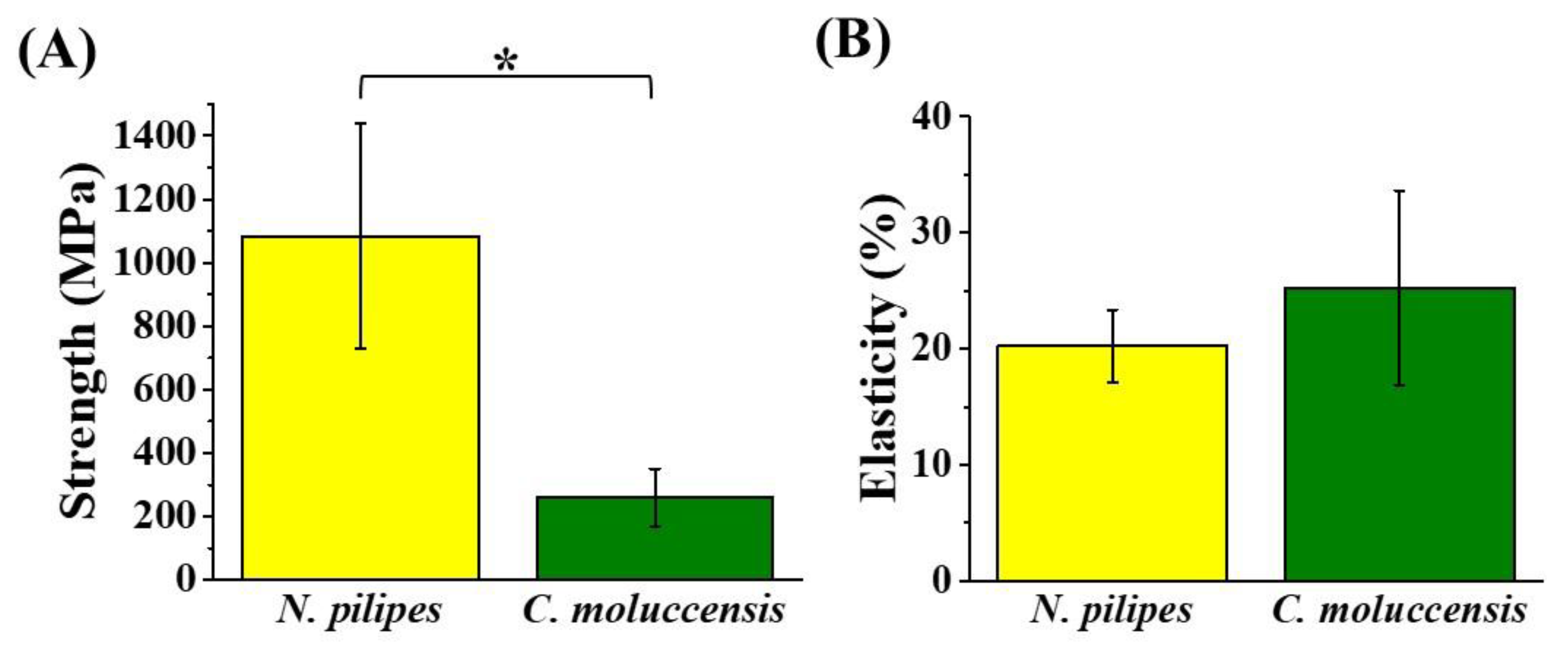 Polymers 12 01013 g001 Polymers 12 01013 g001