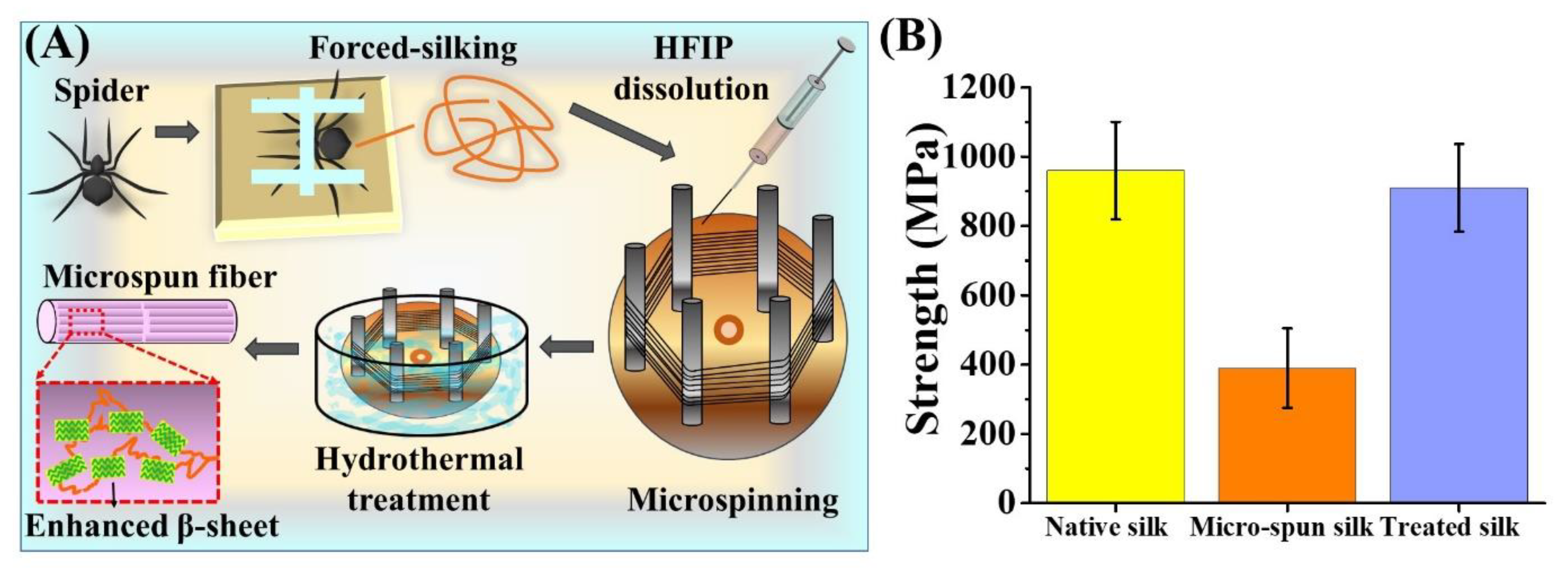 Polymers 12 01013 g004 Polymers 12 01013 g004