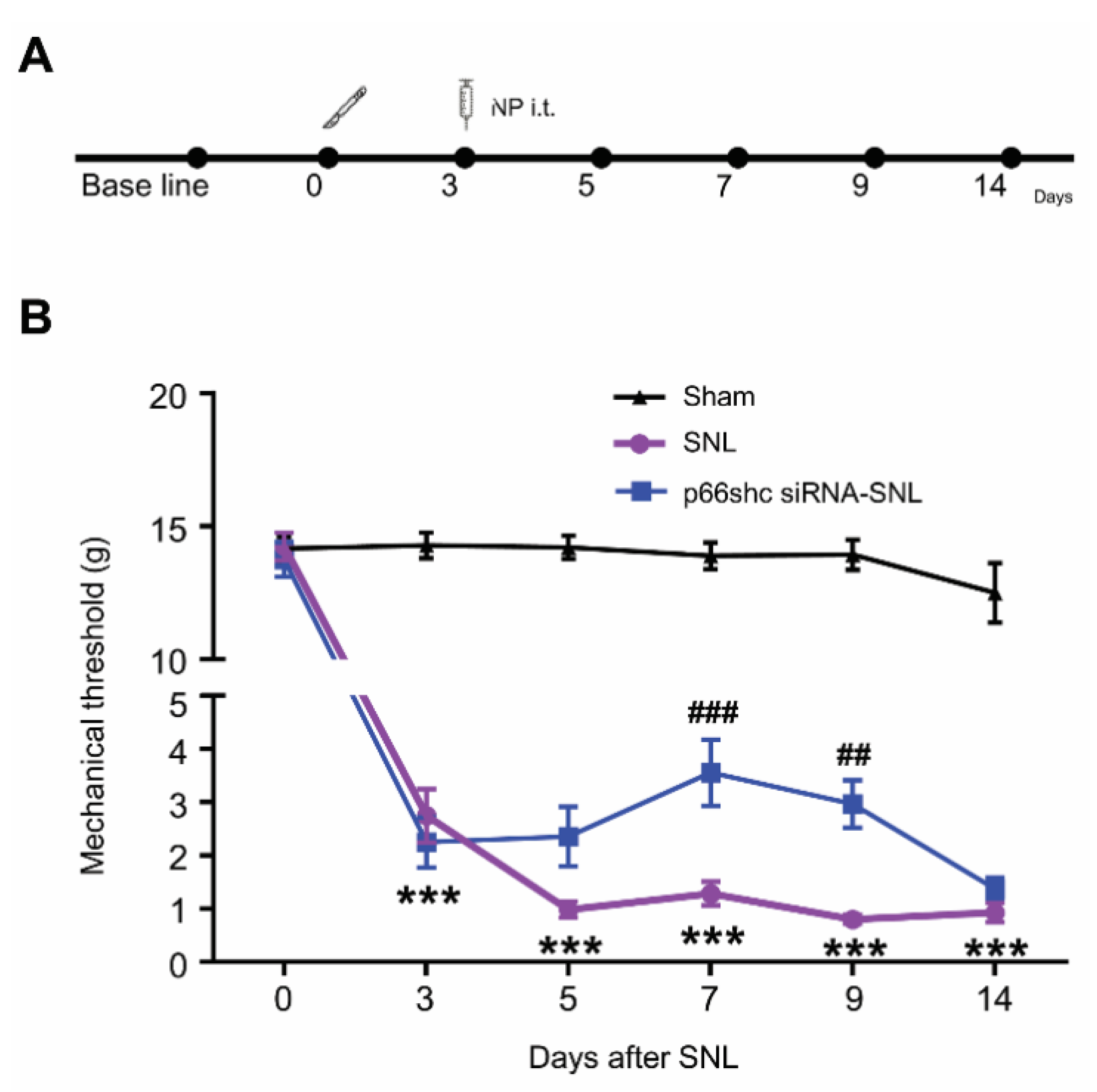 Polymers 12 01014 g002 Polymers 12 01014 g002