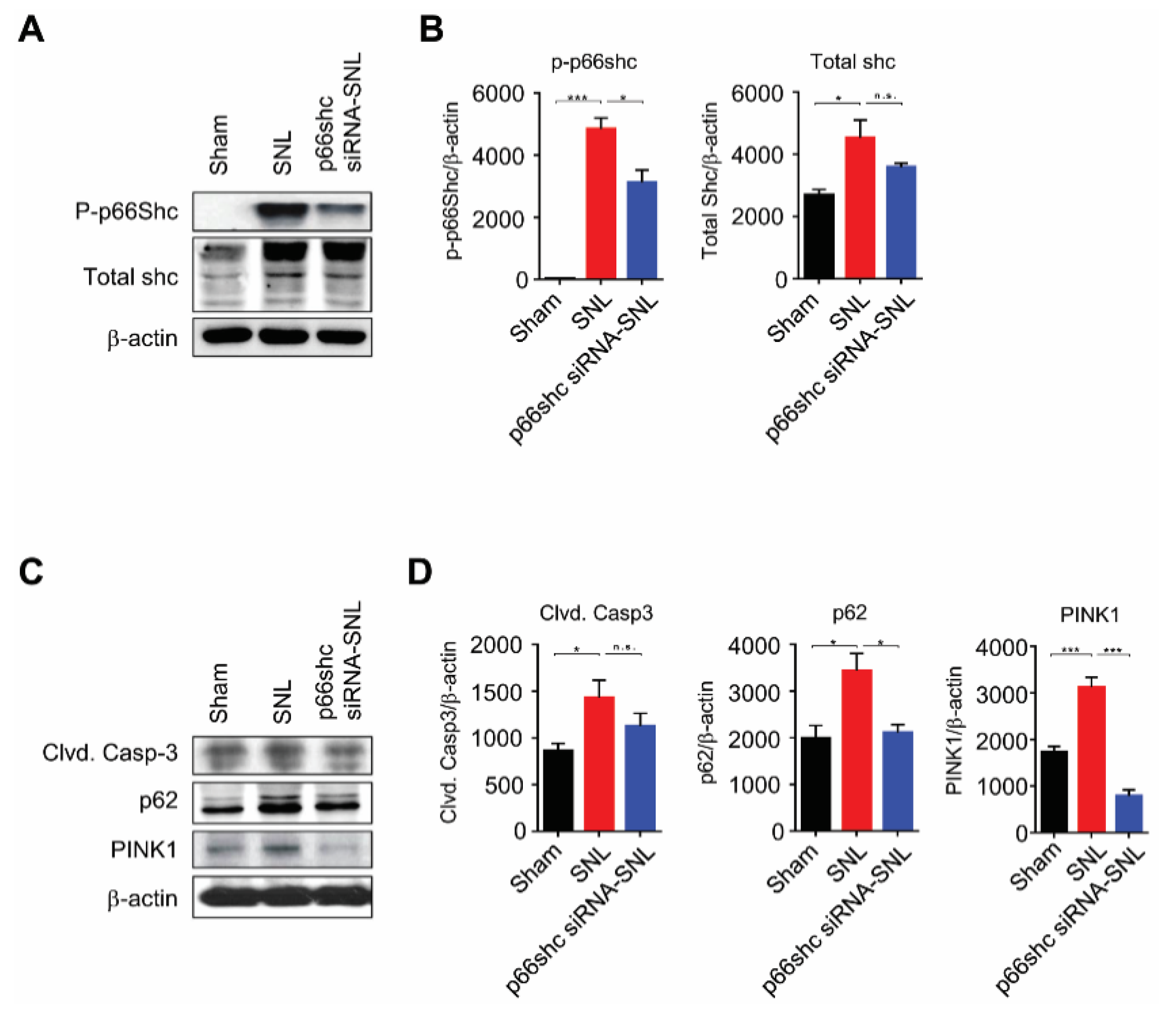 Polymers 12 01014 g003 Polymers 12 01014 g003