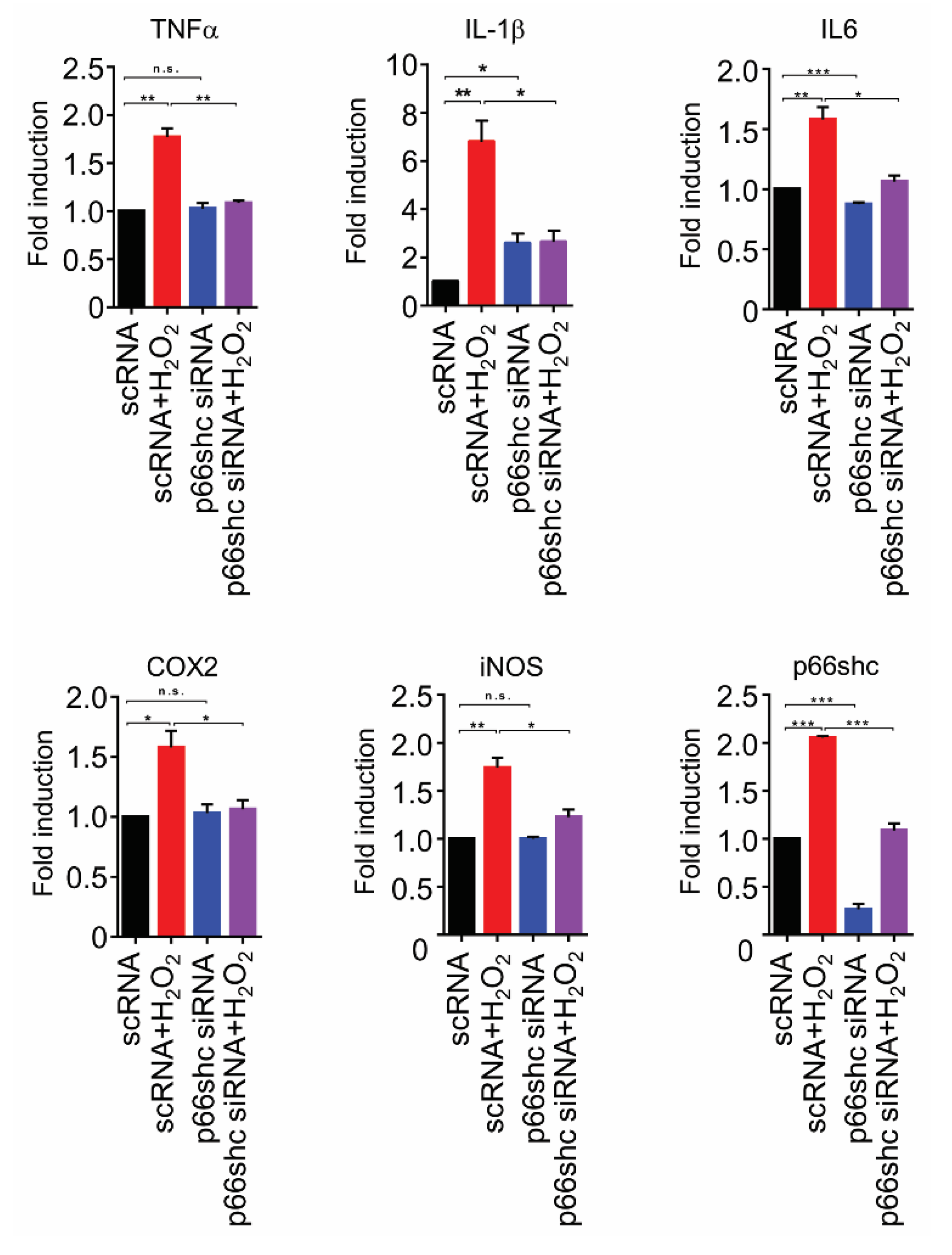 Polymers 12 01014 g006 Polymers 12 01014 g006