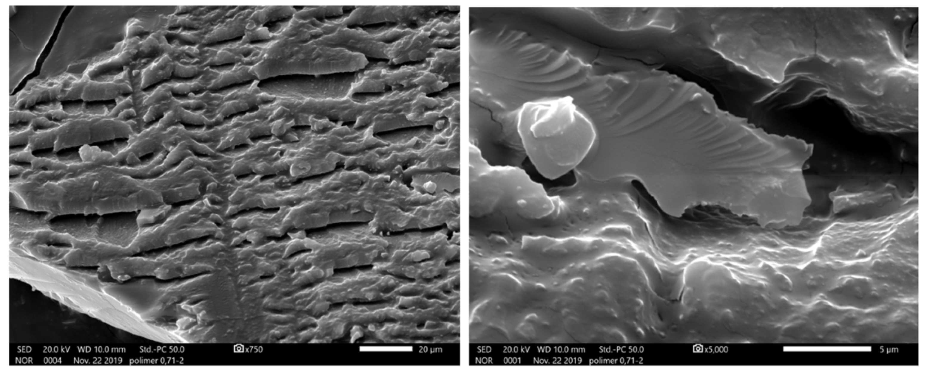 Polymers 12 01015 g003 550
