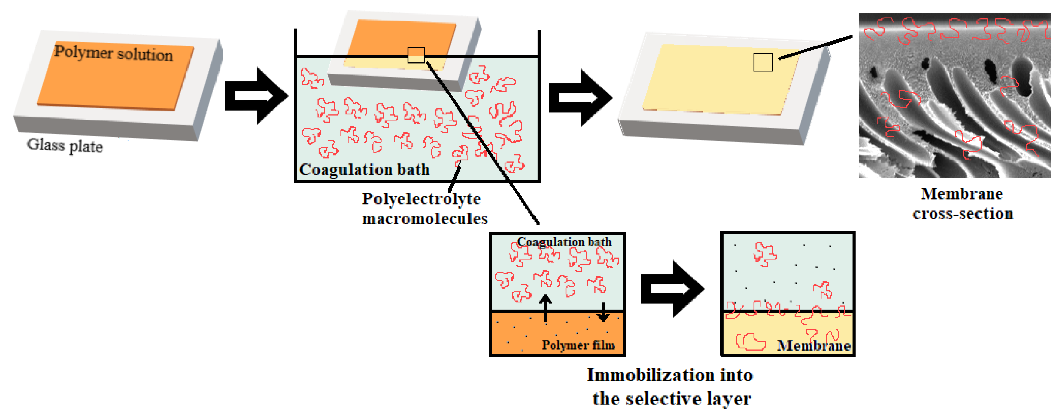 Polymers 12 01017 g002