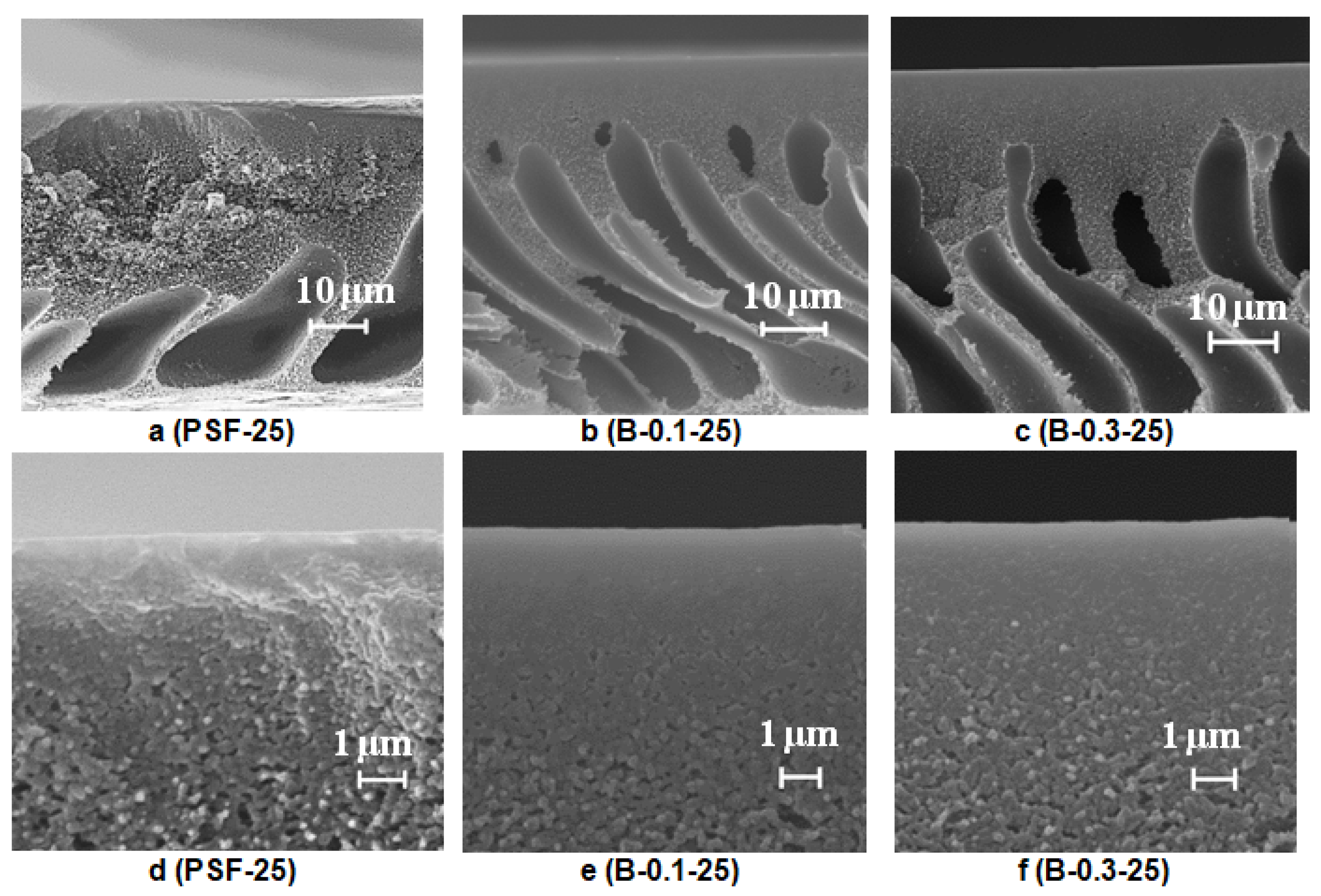 Polymers 12 01017 g007