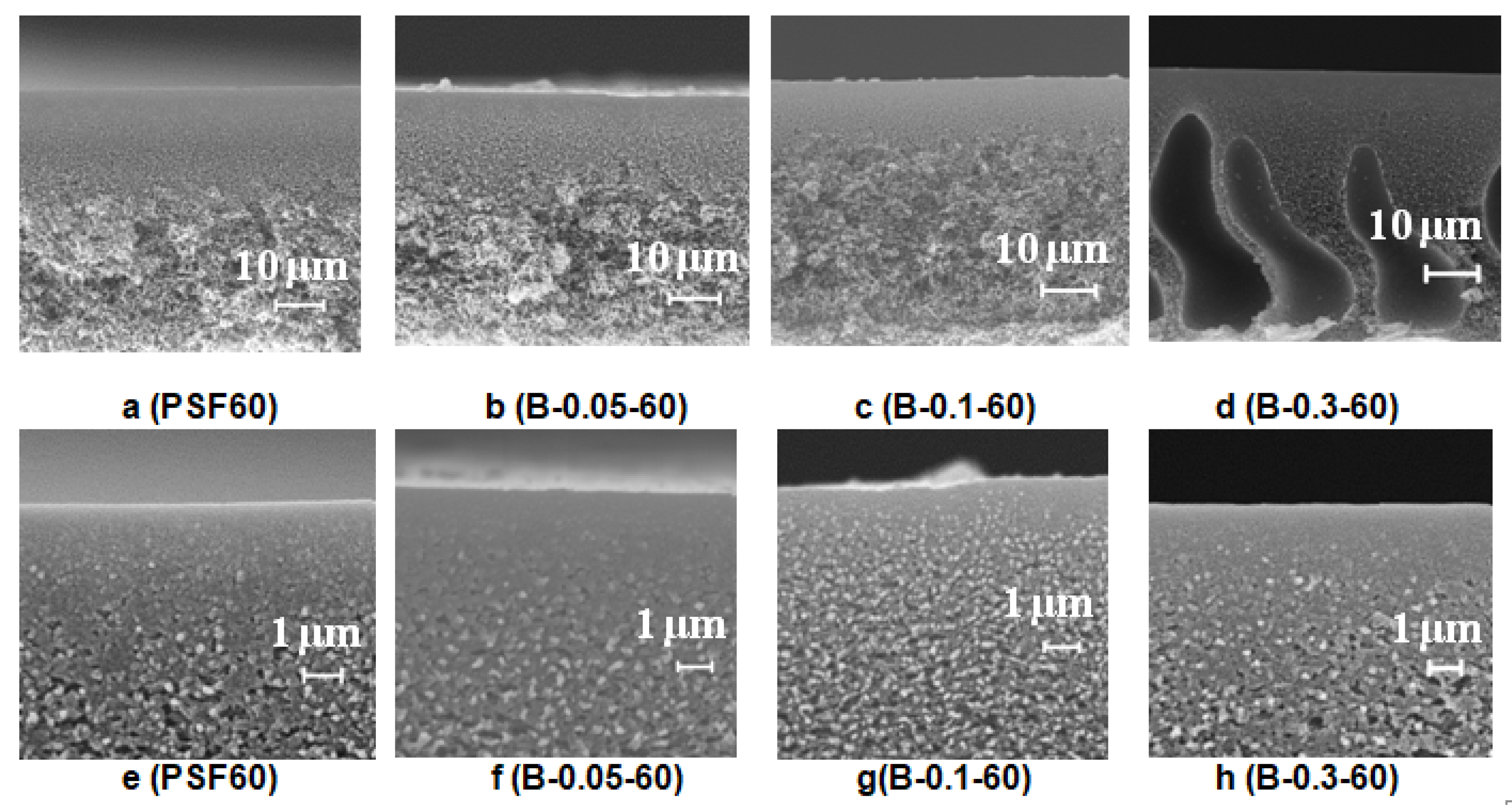Polymers 12 01017 g008