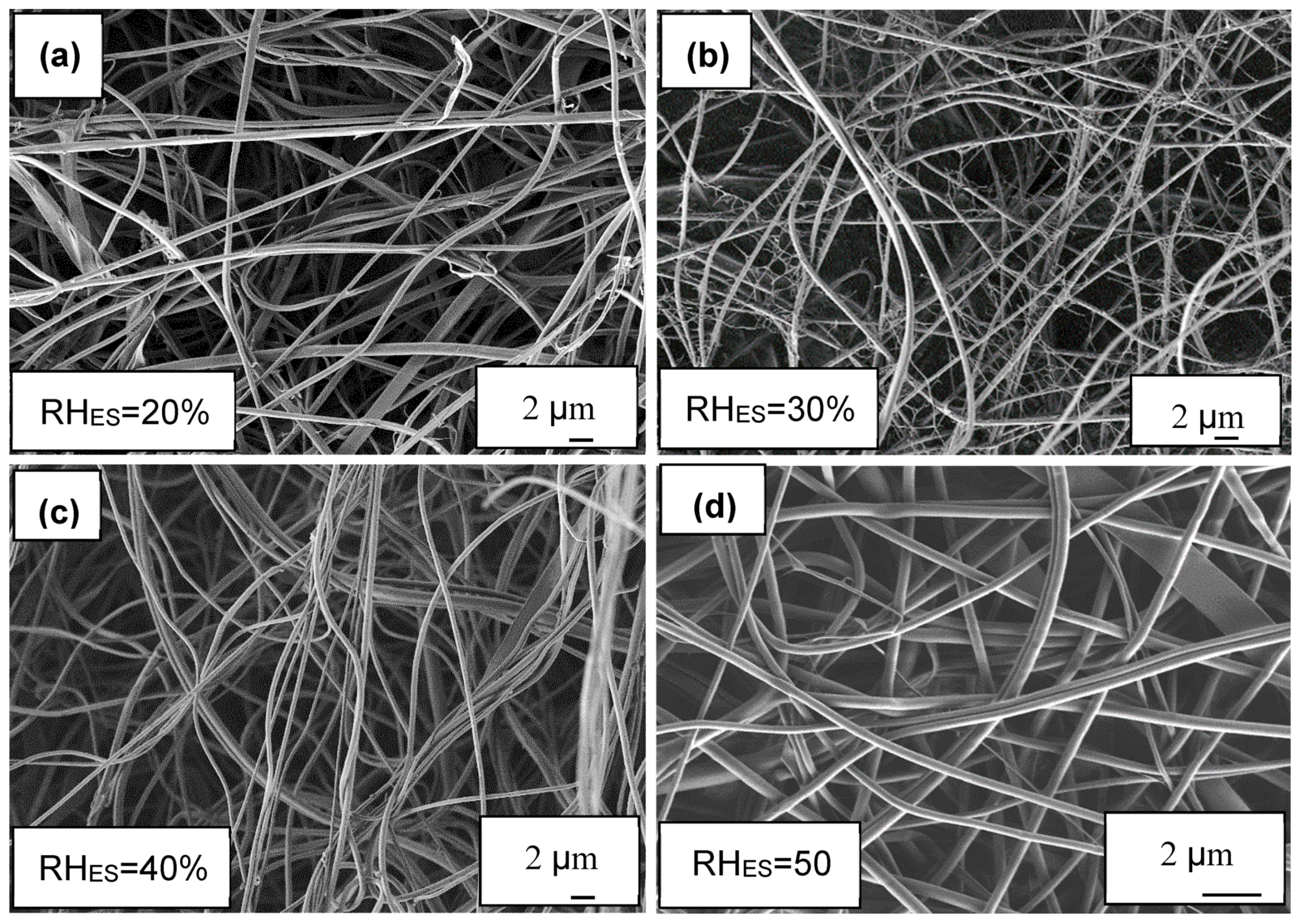 Polymers 12 01020 g001