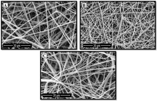 Development of a Highly Proliferated Bilayer Coating on 316L