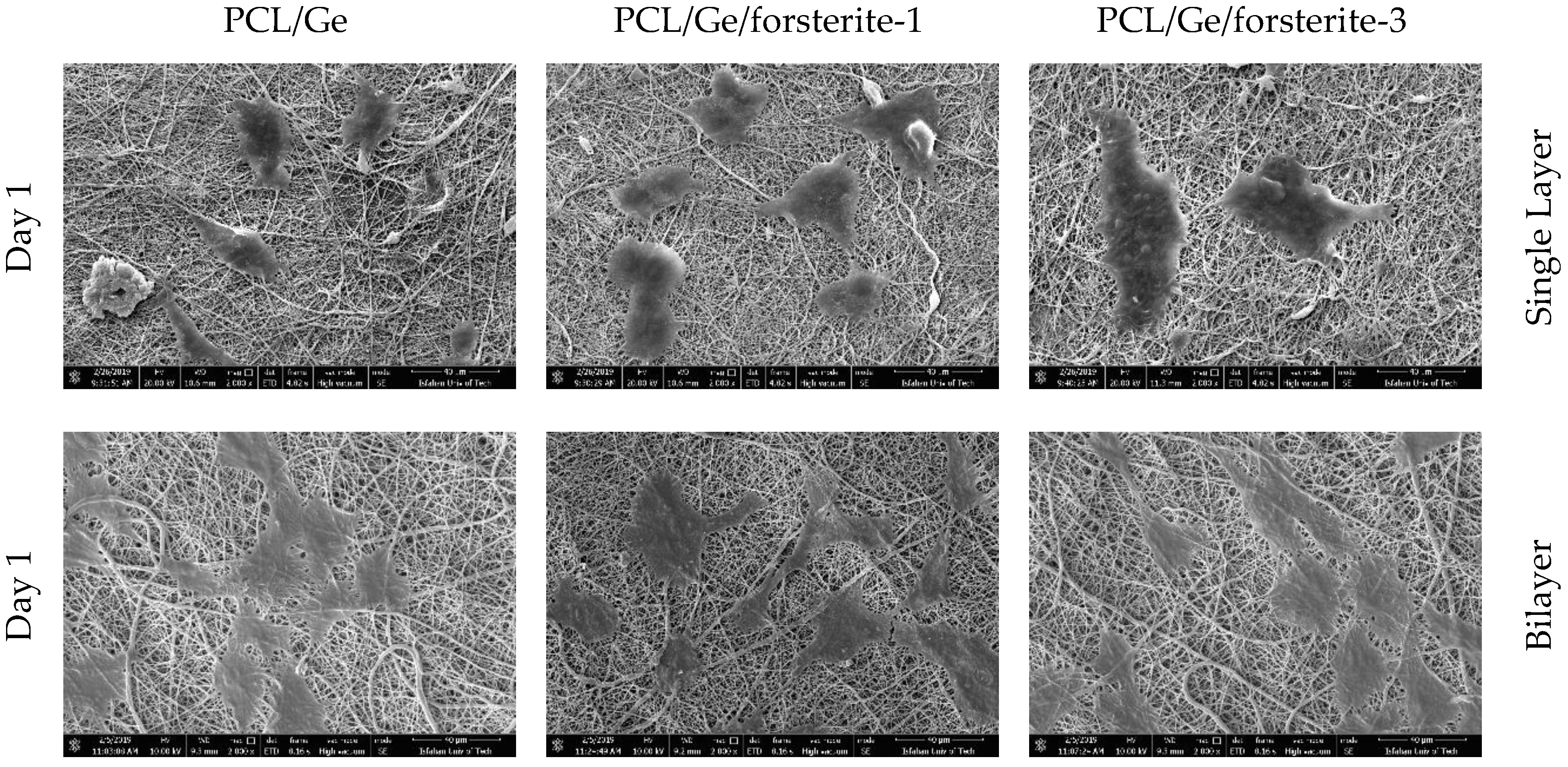 Polymers 12 01022 g007a