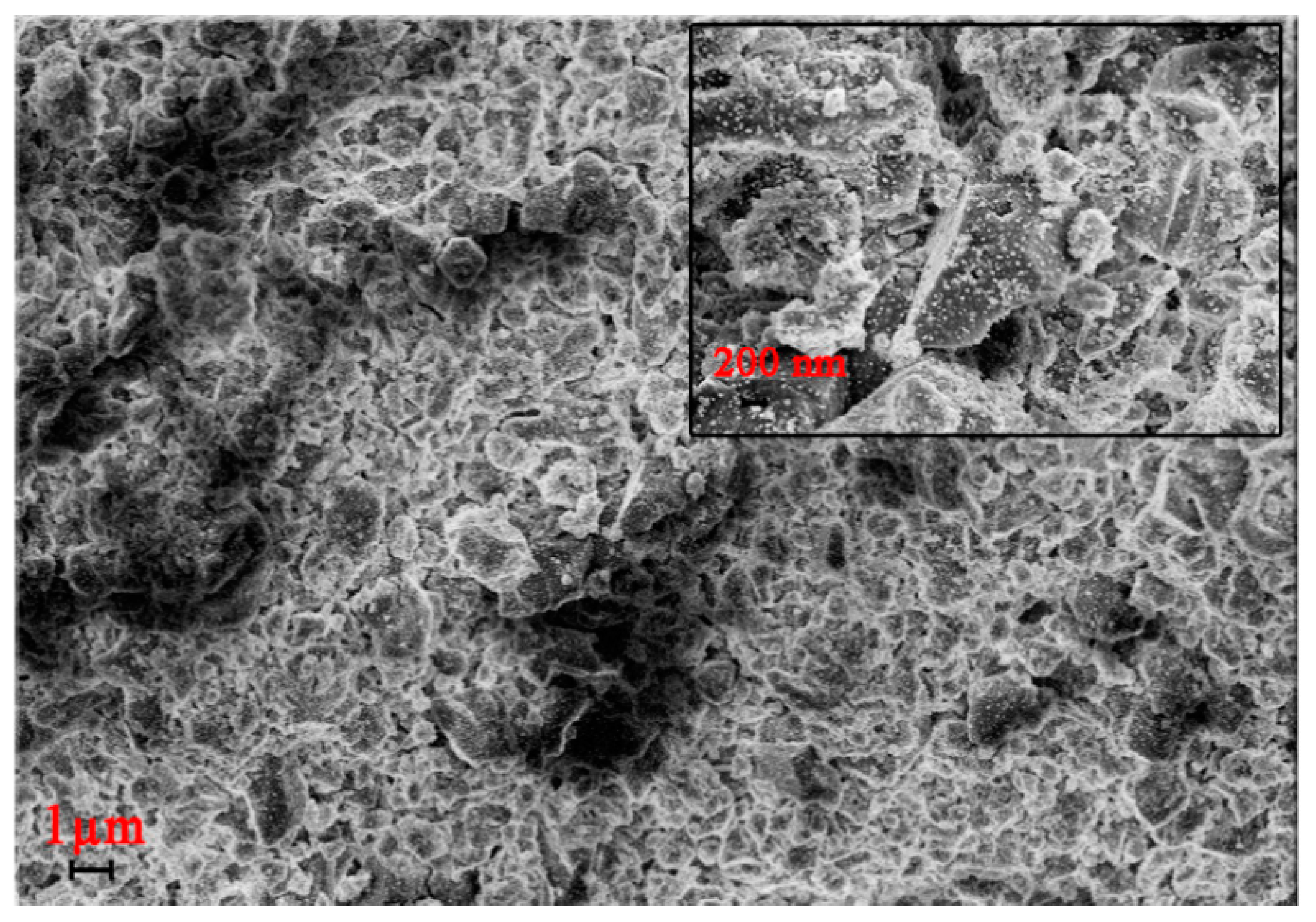 Polymers 12 01024 g011
