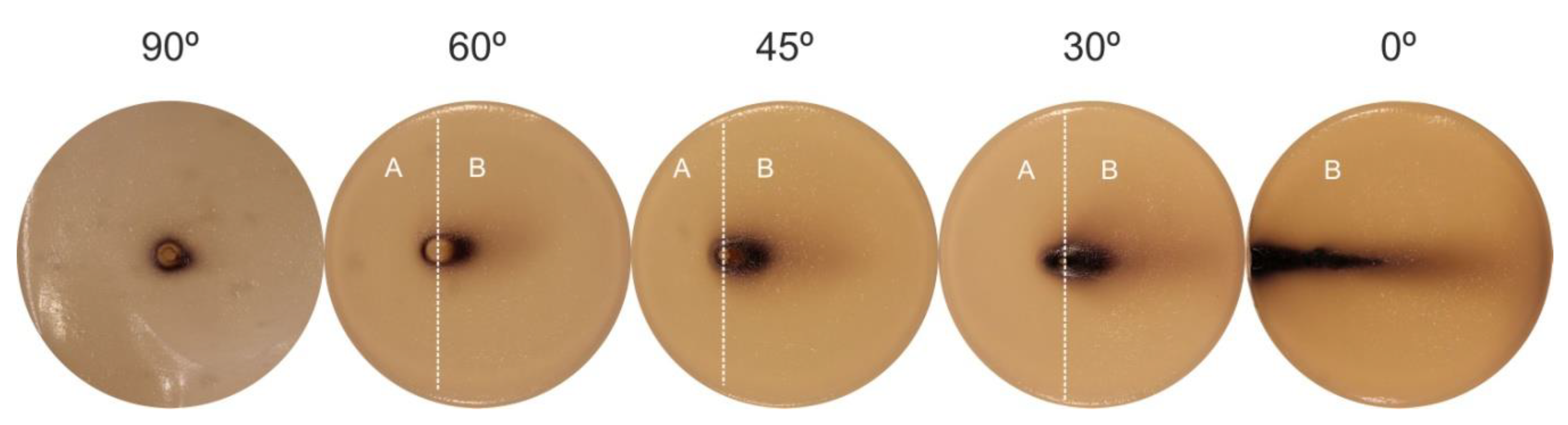 Polymers 12 01028 g008
