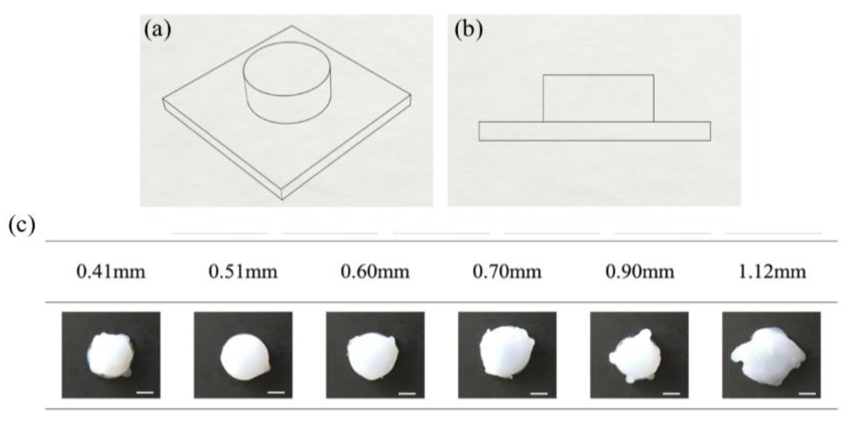 Polymers Free Full Text 3d Direct Printing Of Silicone Meniscus Implant Using A Novel Heat Cured Extrusion Based Printer Html