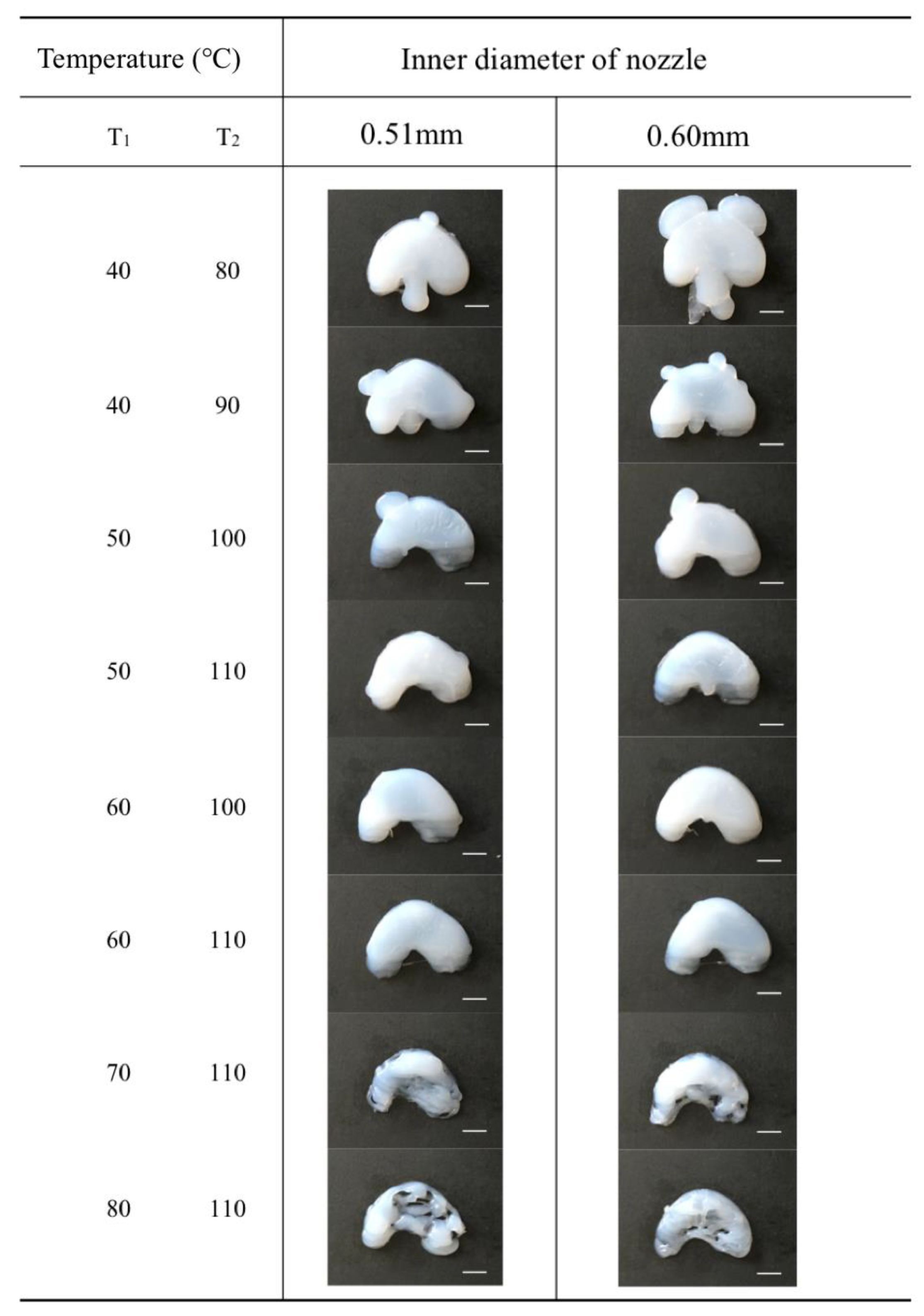 Polymers 12 01031 g009