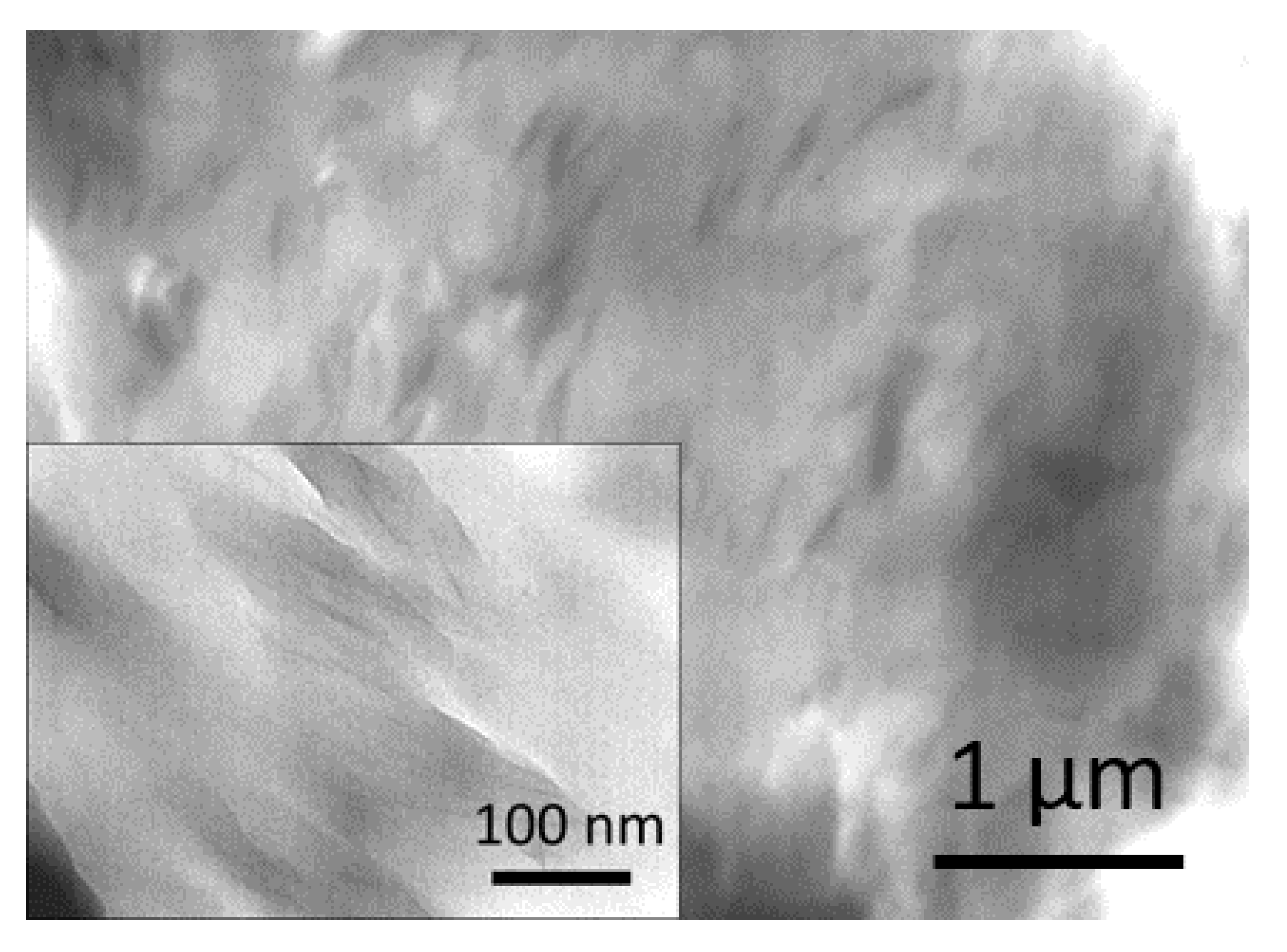Polymers 12 01034 g005 Polymers 12 01034 g005