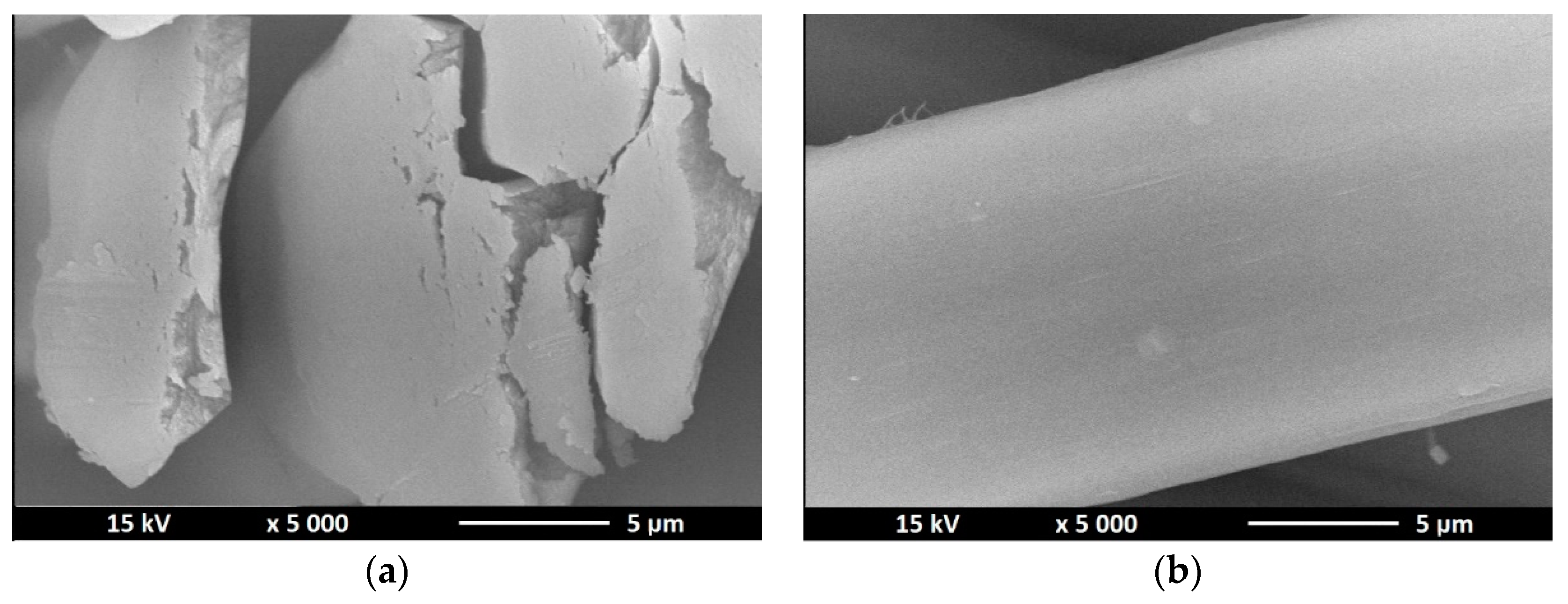Polymers 12 01040 g005