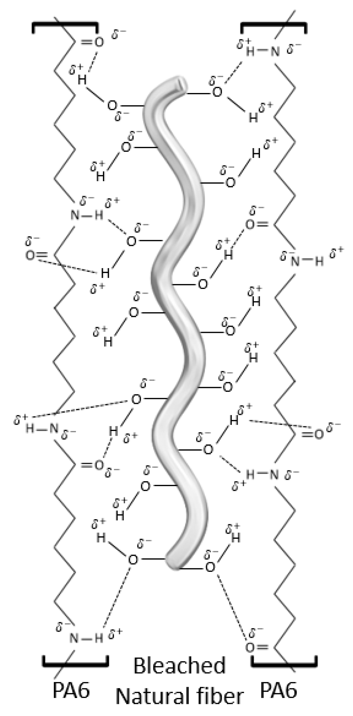 Polymers 12 01041 g003 Polymers 12 01041 g003