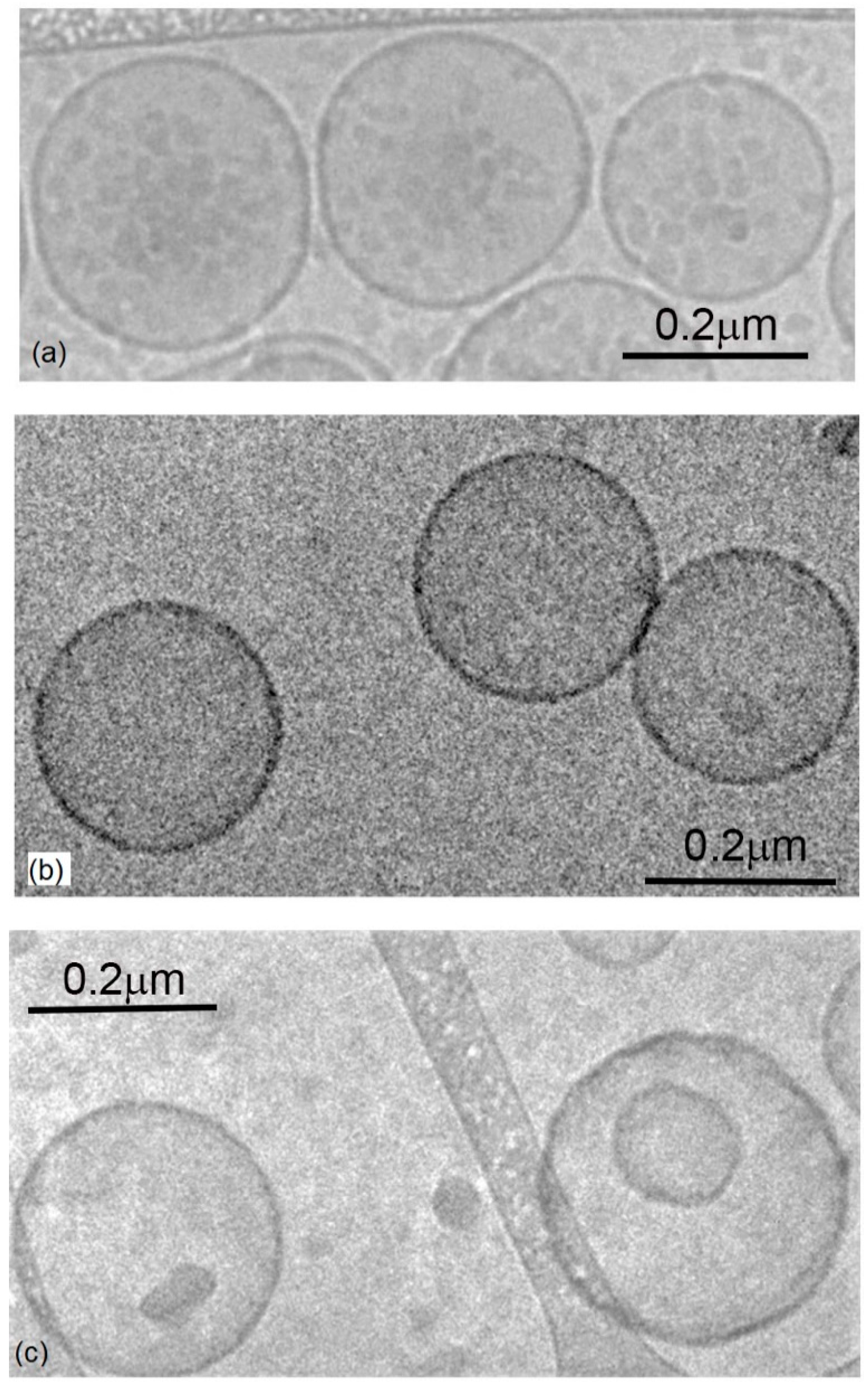 Polymers 12 01049 g002