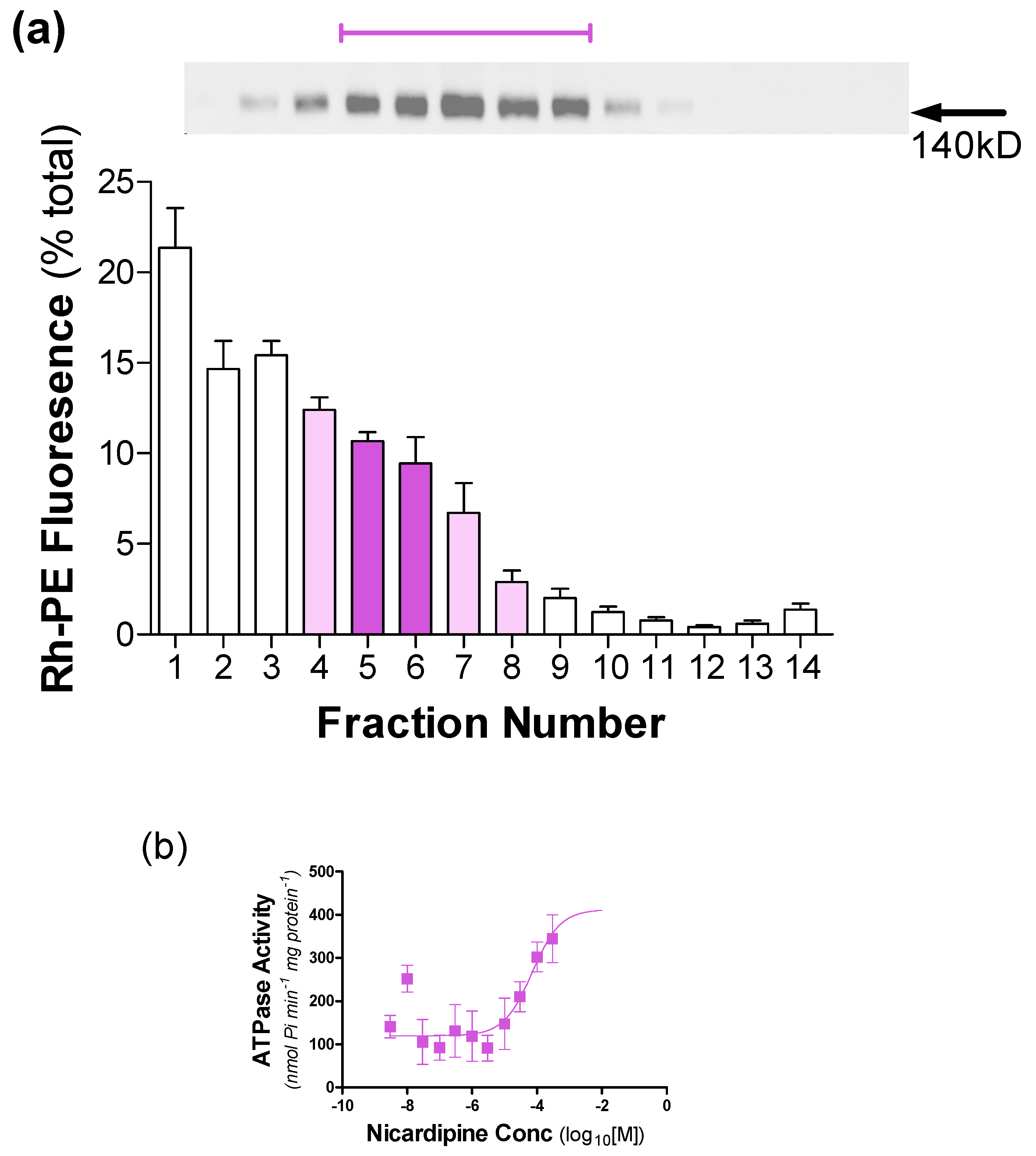 Polymers 12 01049 g008