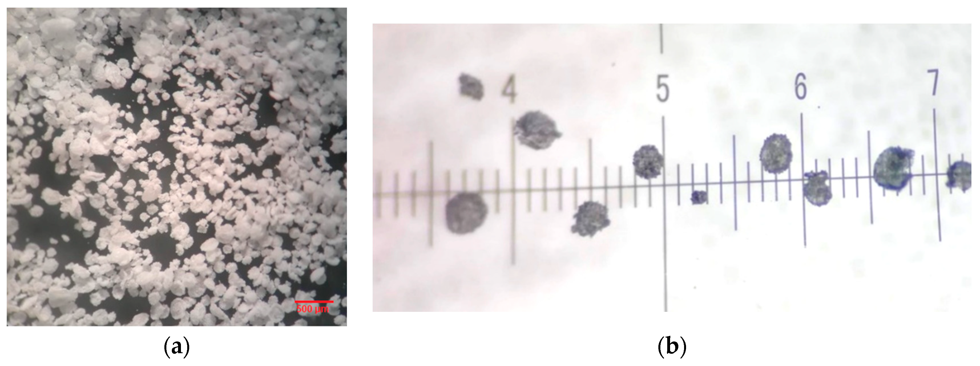 Polymers 12 01052 g005