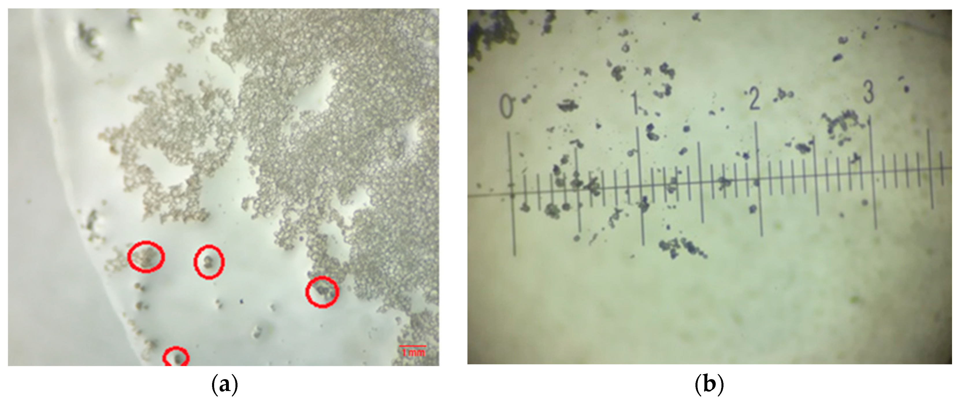 Polymers 12 01052 g010