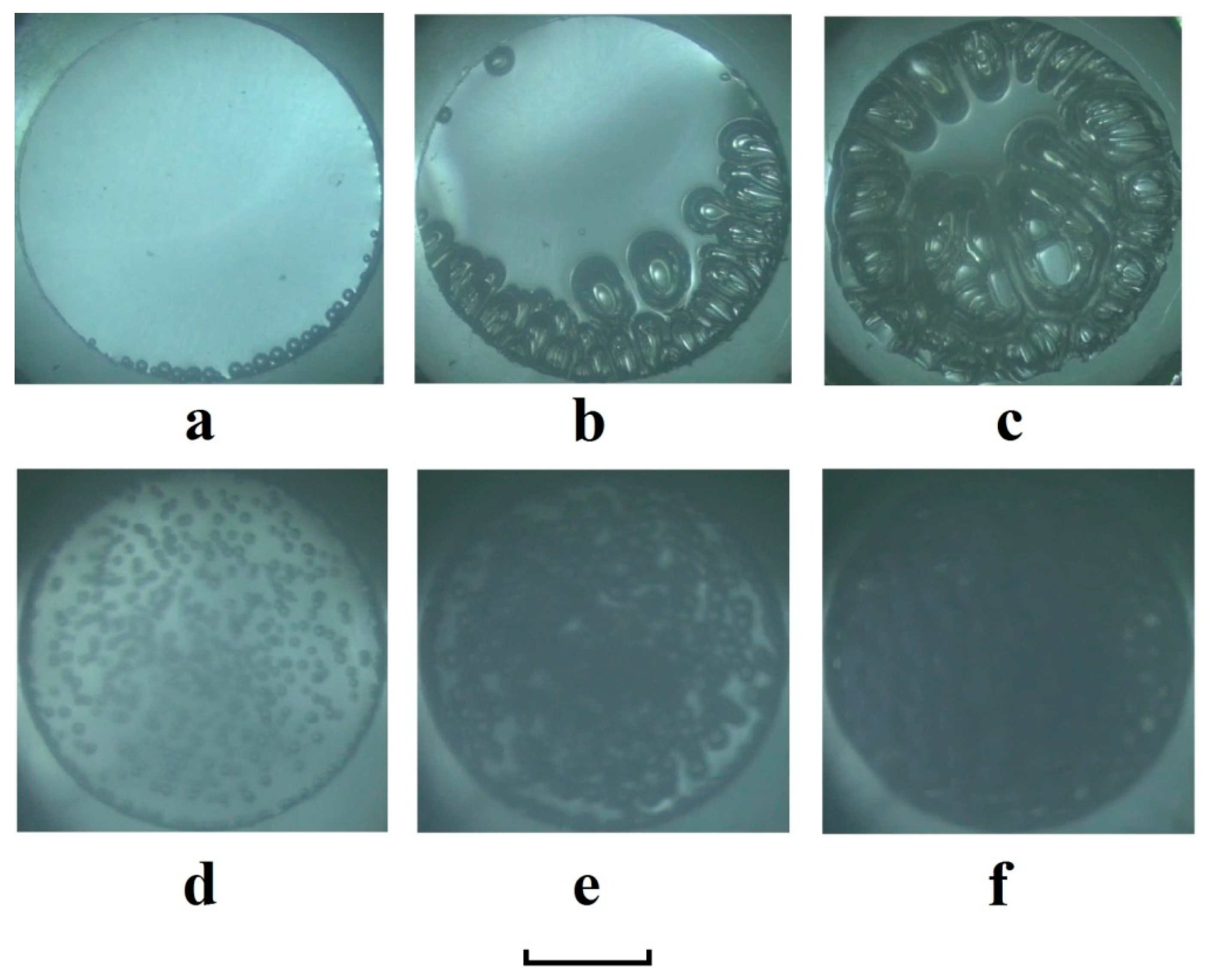Polymers 12 01055 g007