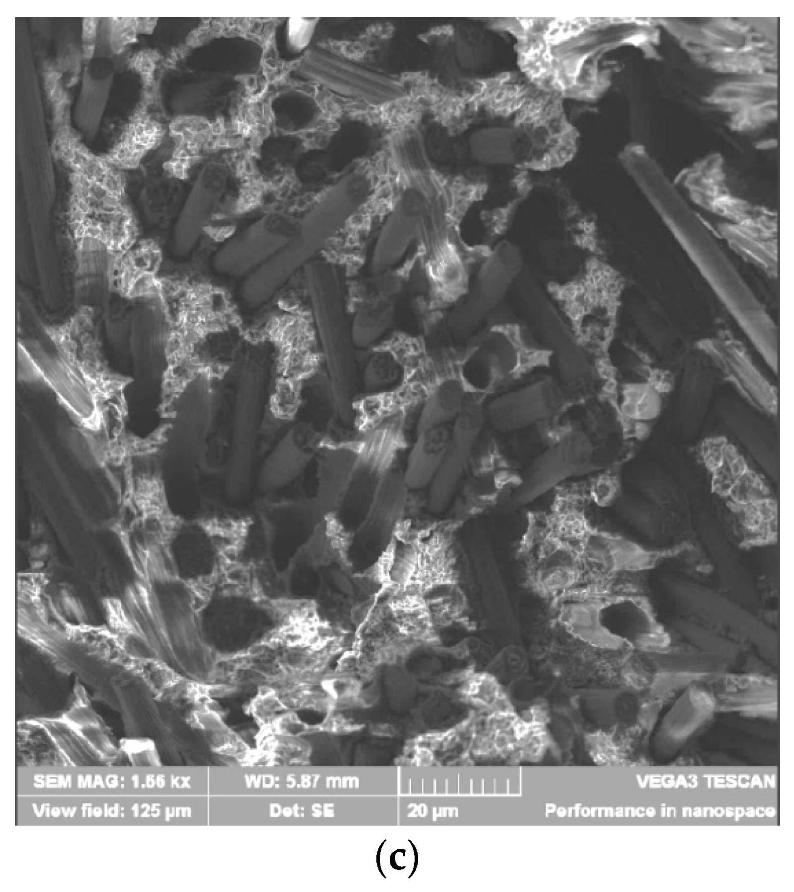 Polymers 12 01056 g008b