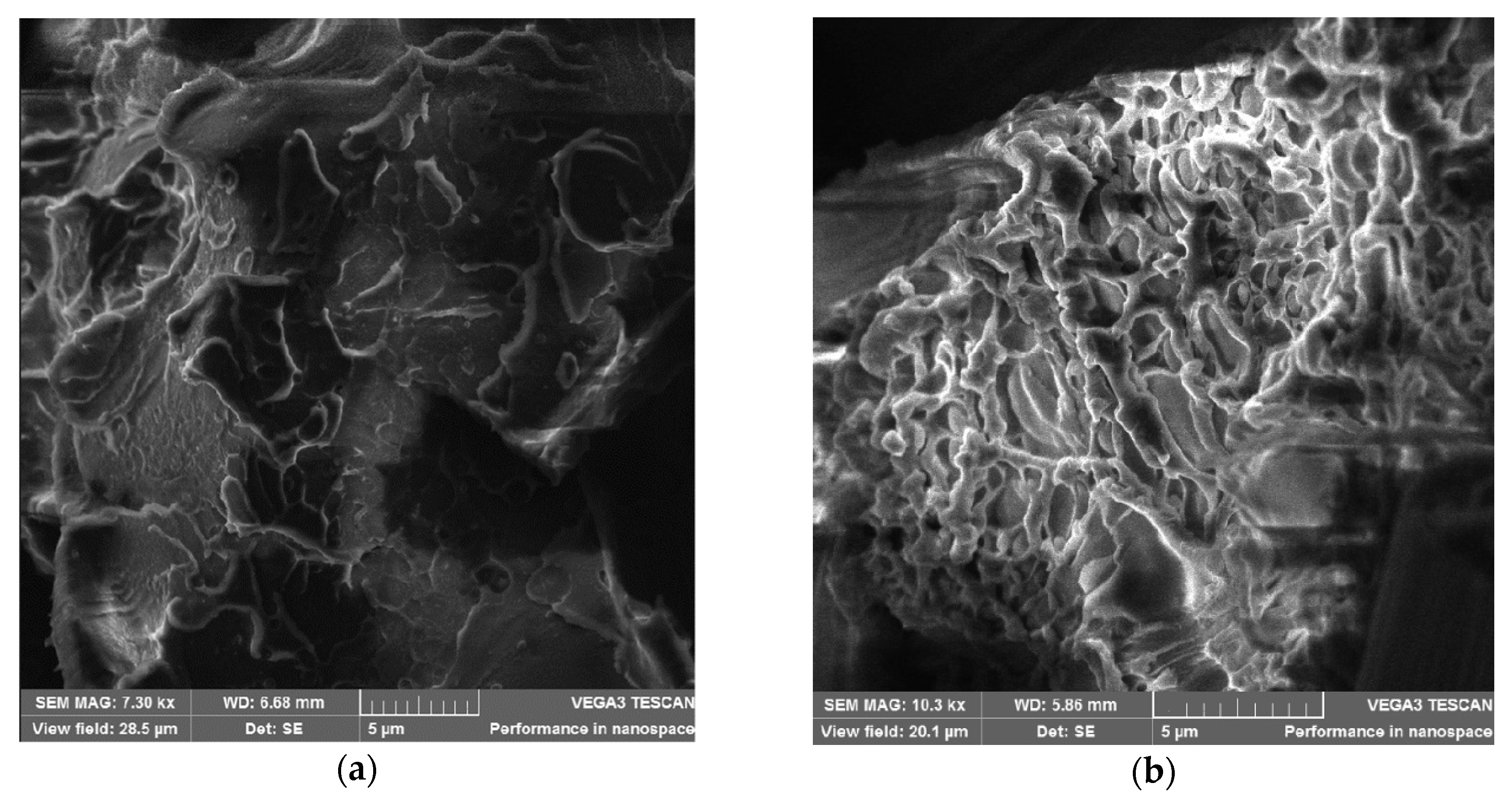 Polymers 12 01056 g009
