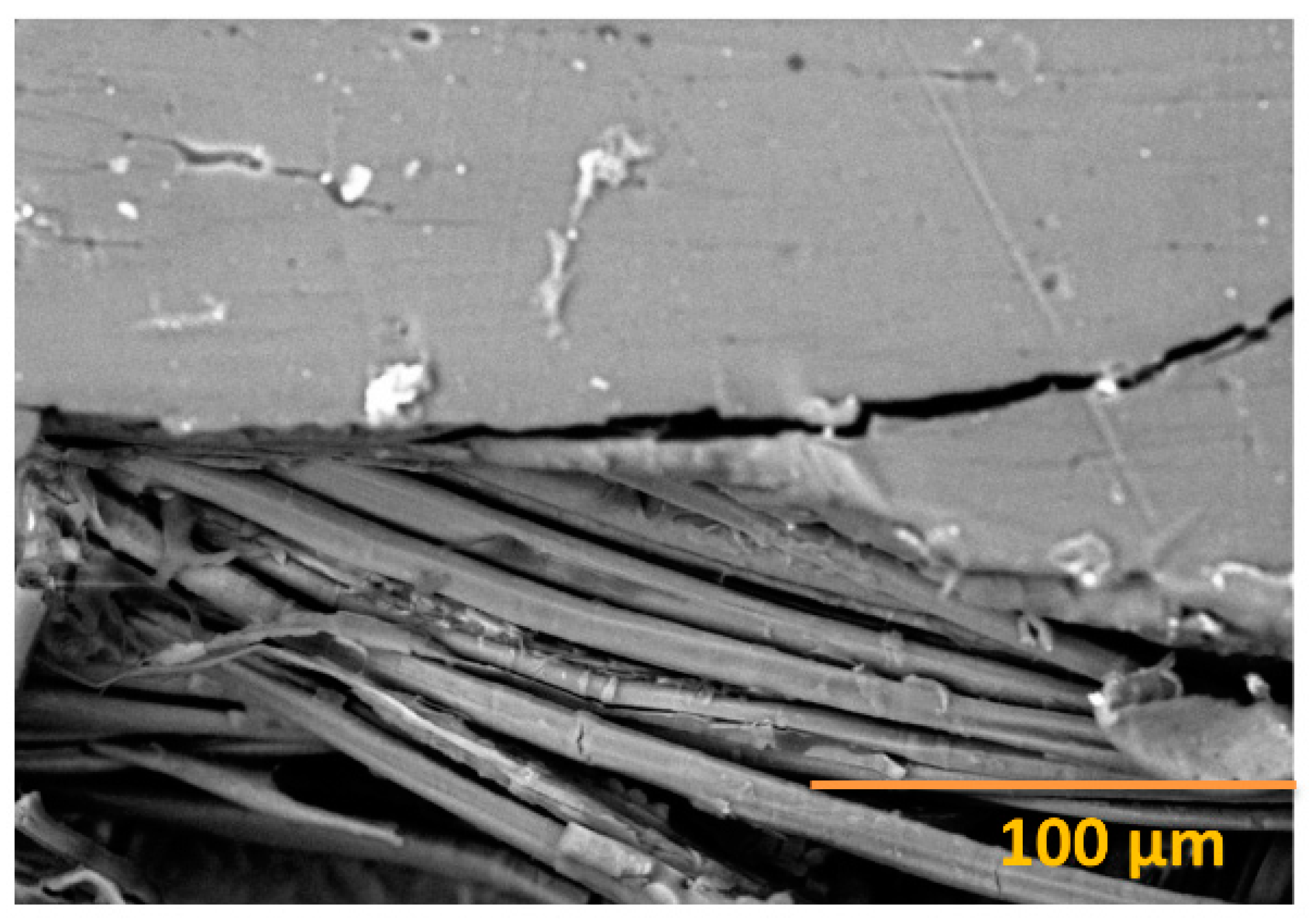 Polymers 12 01072 g008 Polymers 12 01072 g008