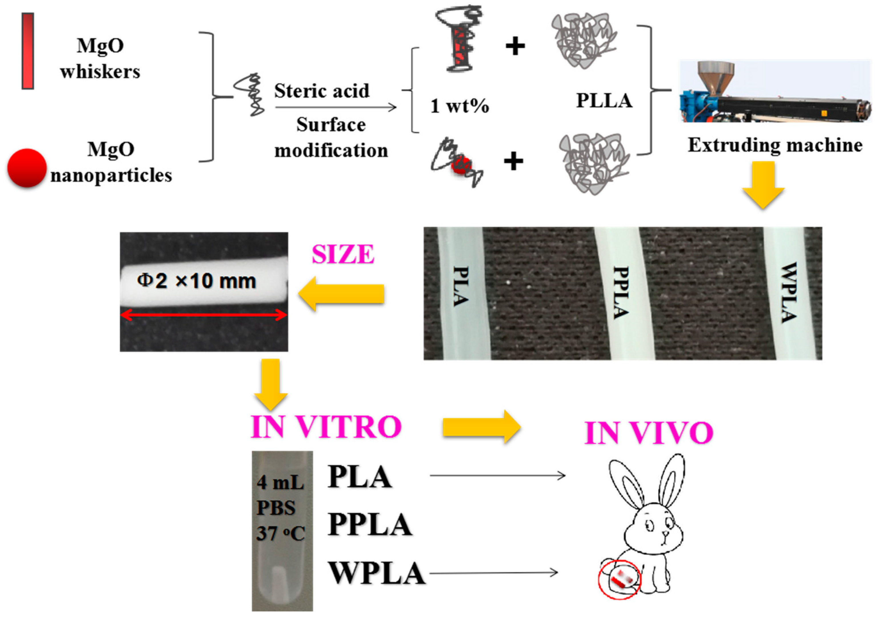 Polymers 12 01074 g001