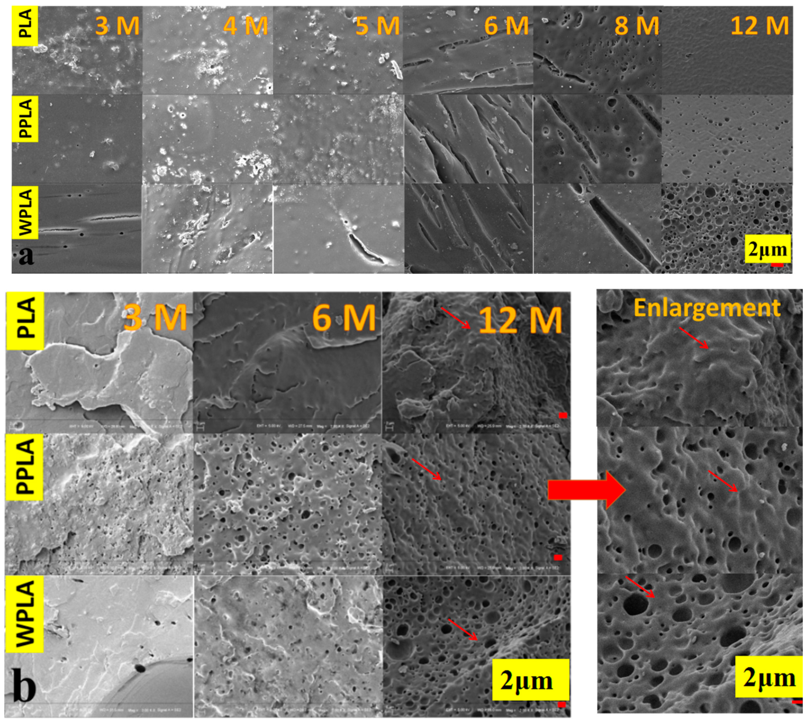Polymers 12 01074 g002