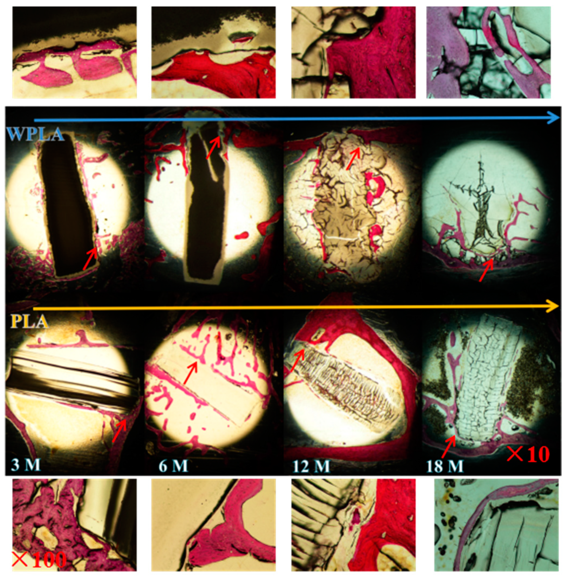 Polymers 12 01074 g005