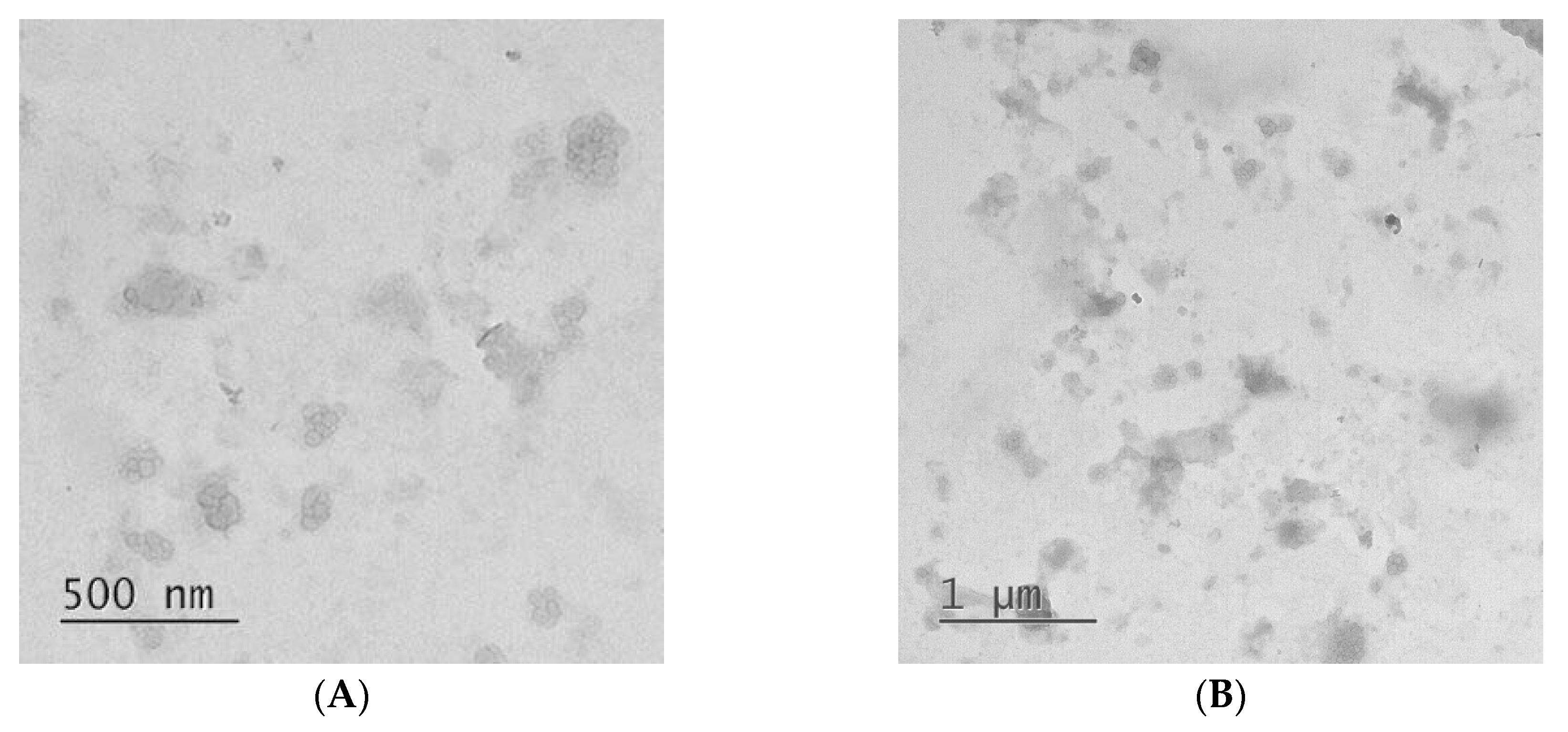 Polymers 12 01077 g002 Polymers 12 01077 g002