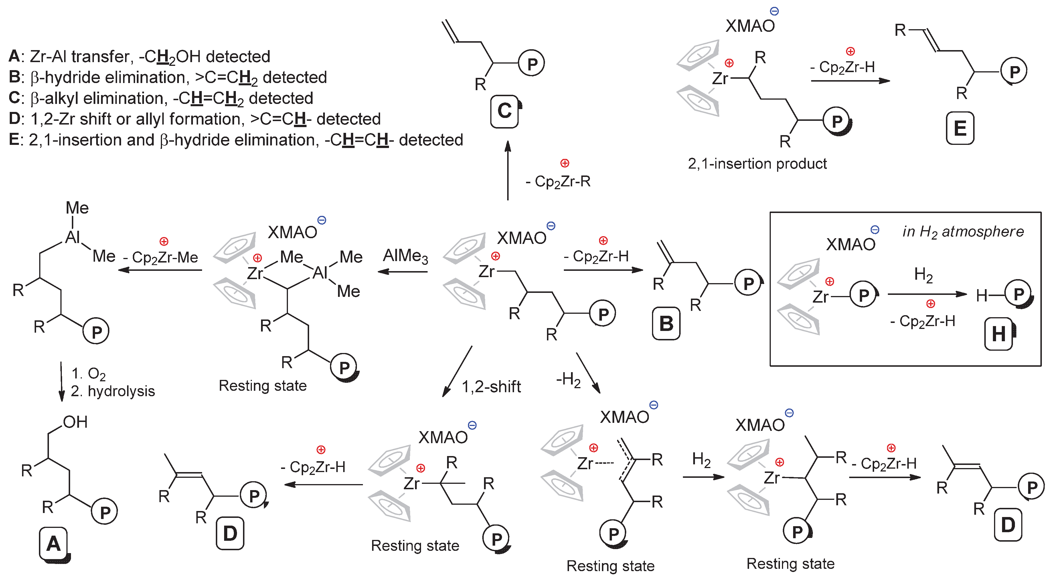 Polymers 12 01082 sch005