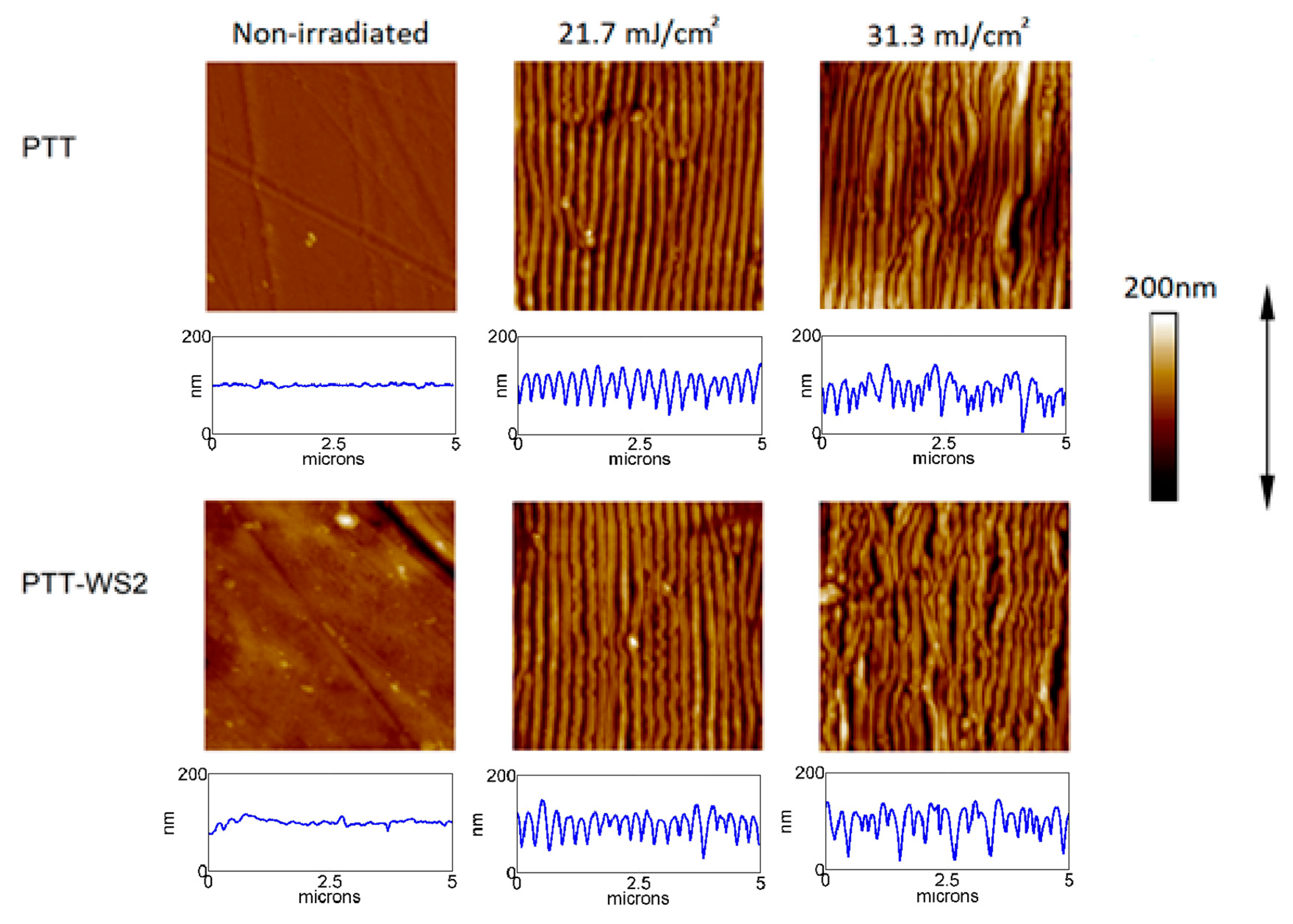 Polymers 12 01090 g001 Polymers 12 01090 g001