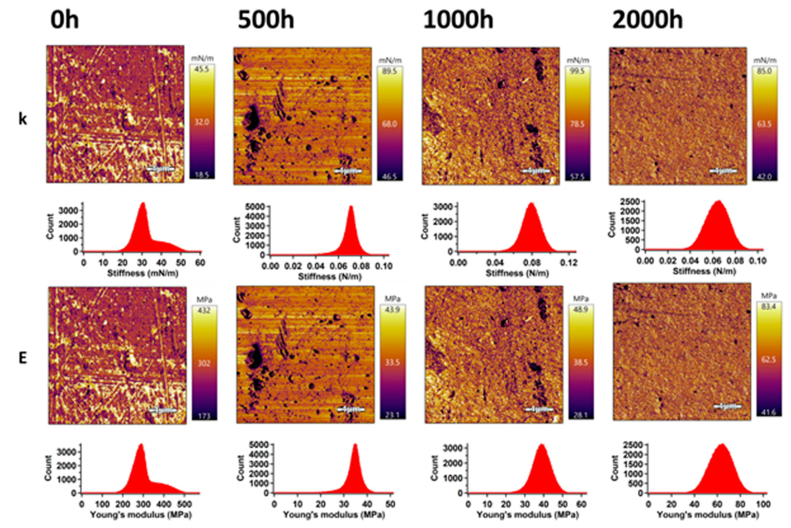 Polymers 12 01096 g003