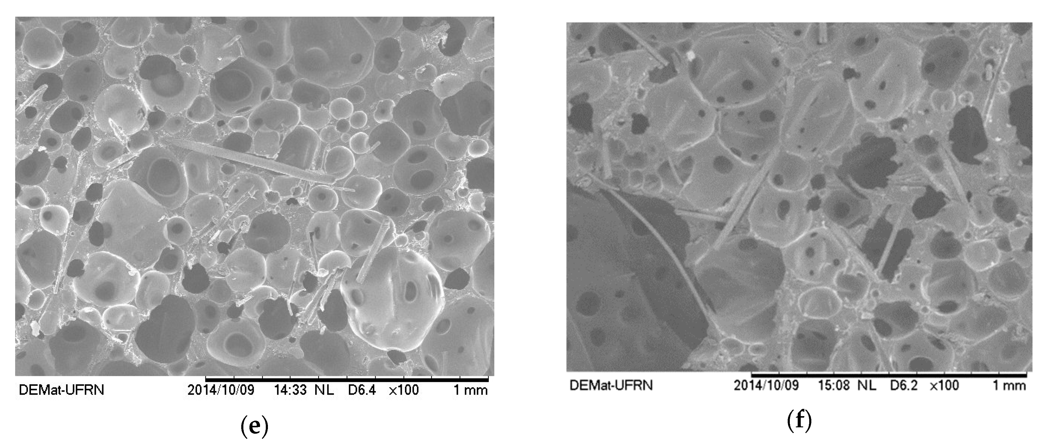 Polymers 12 01098 g002b