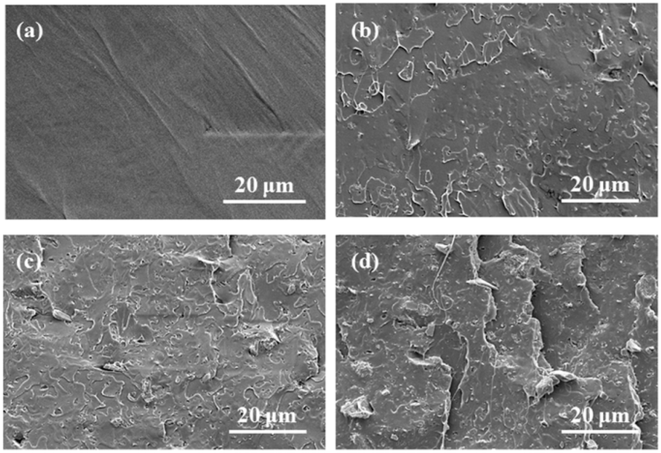 Polymers 12 01106 g003 Polymers 12 01106 g003