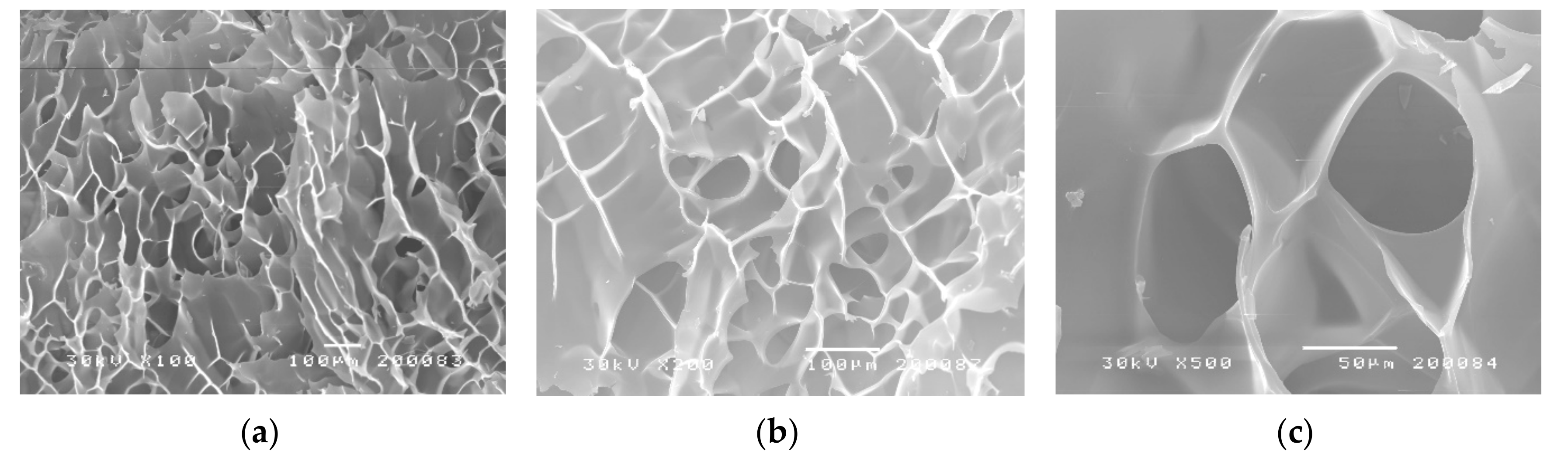 Polymers 12 01112 g003 Polymers 12 01112 g003