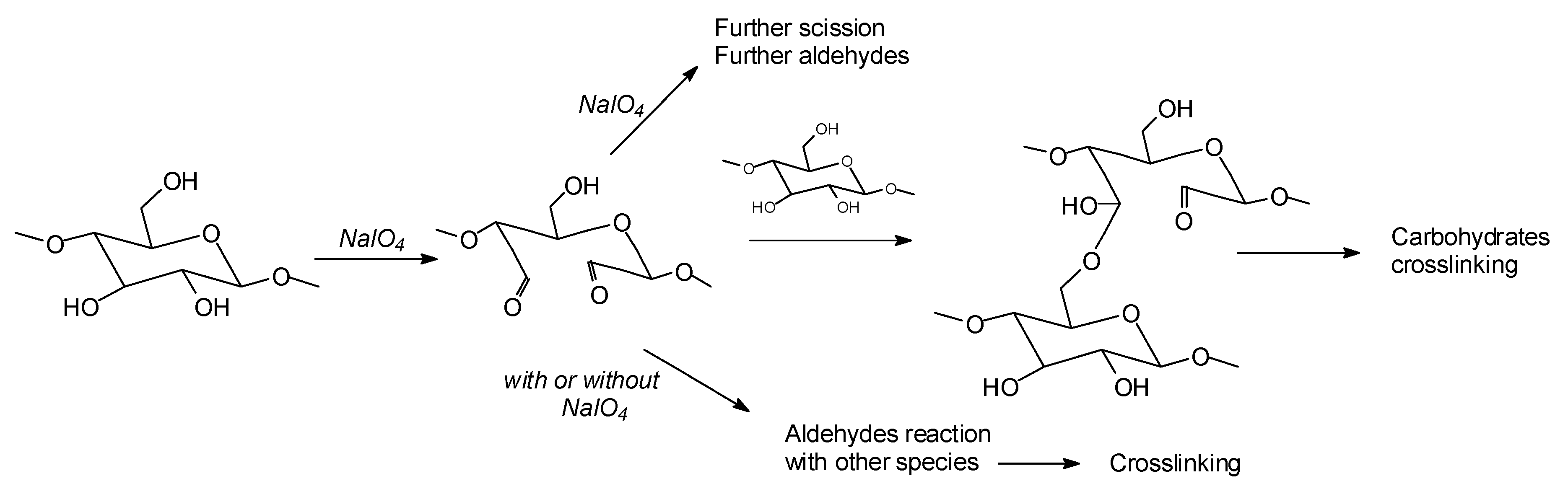 Polymers 12 01115 g002 Polymers 12 01115 g002