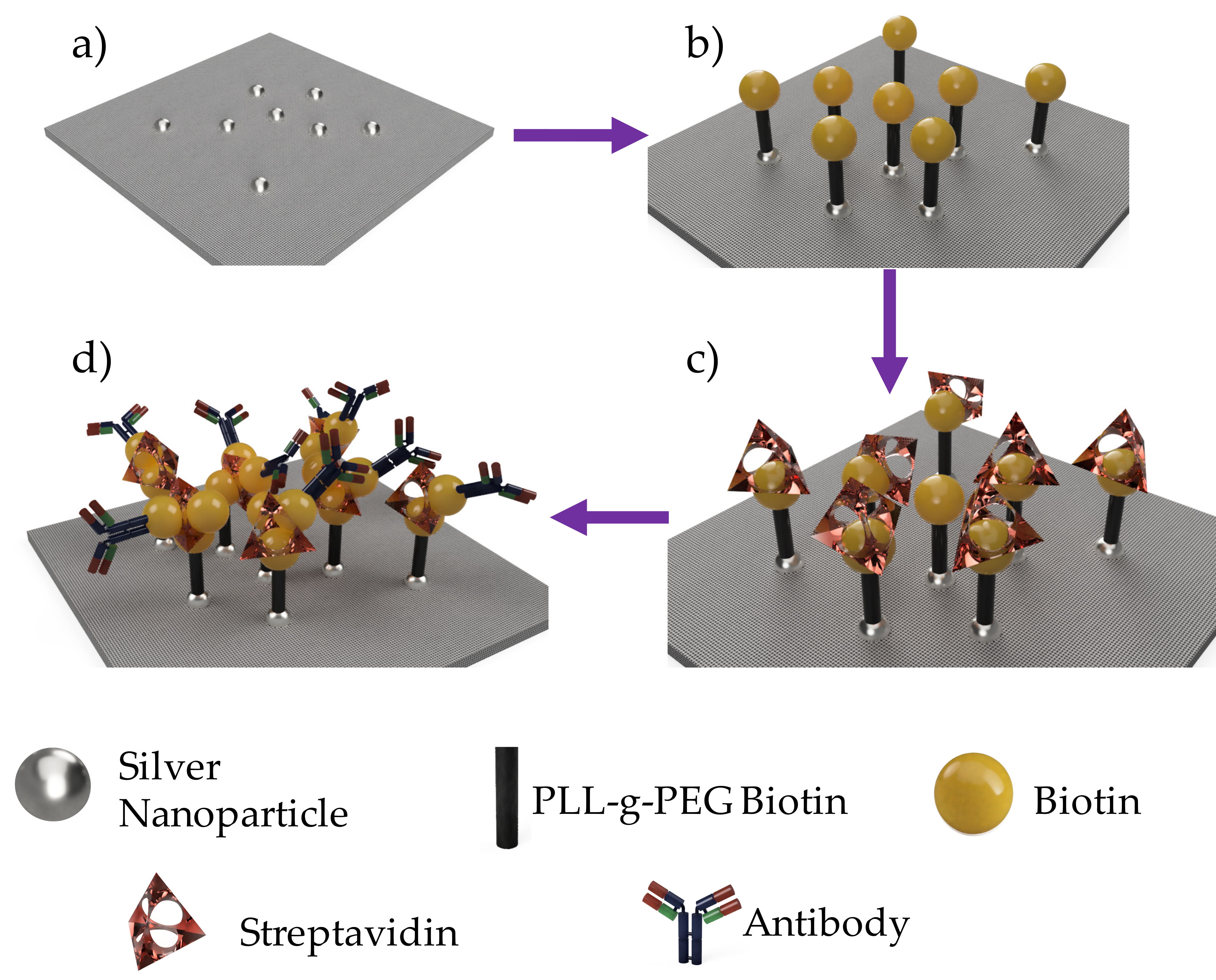 Polymers 12 01117 g001 Polymers 12 01117 g001