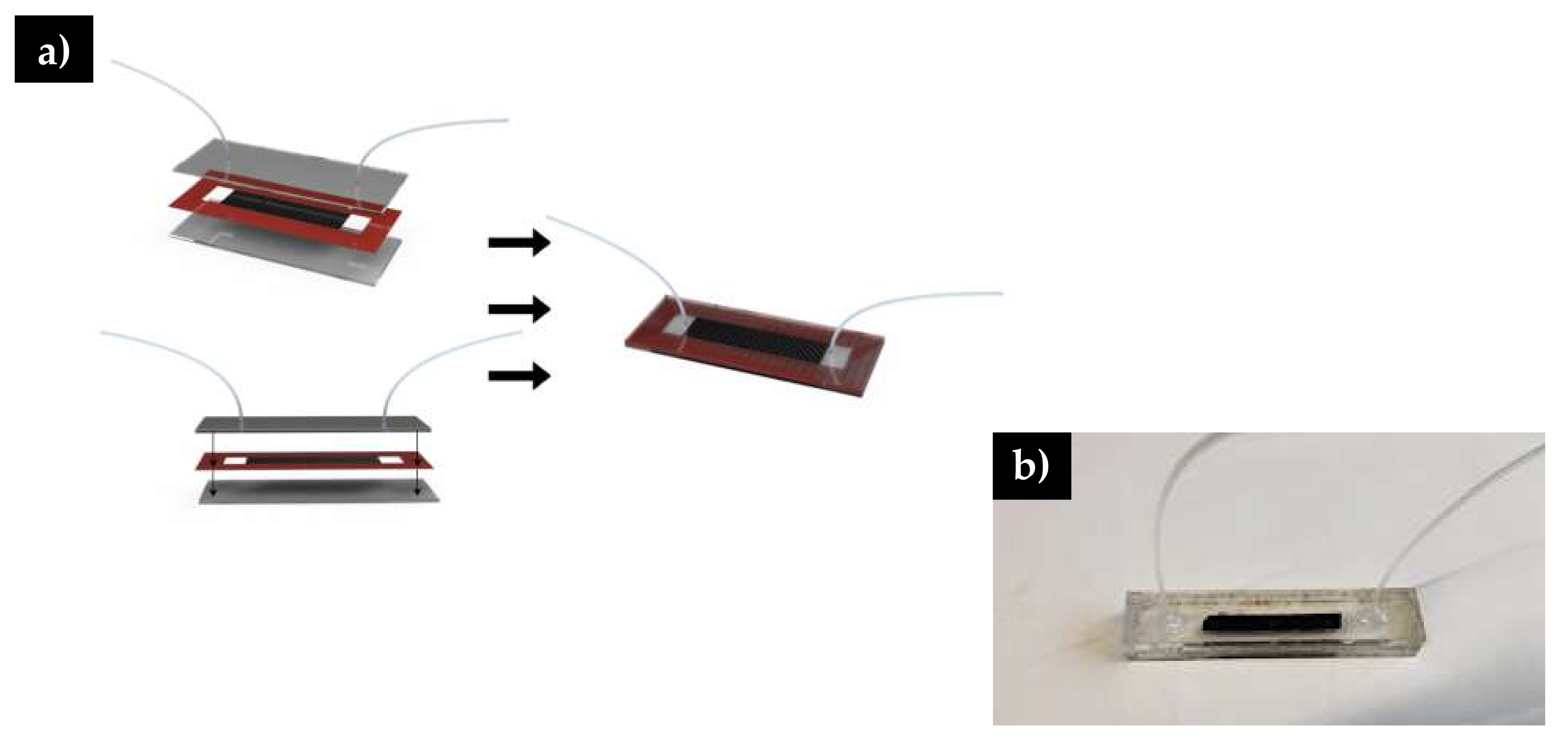 Polymers 12 01117 g002 Polymers 12 01117 g002