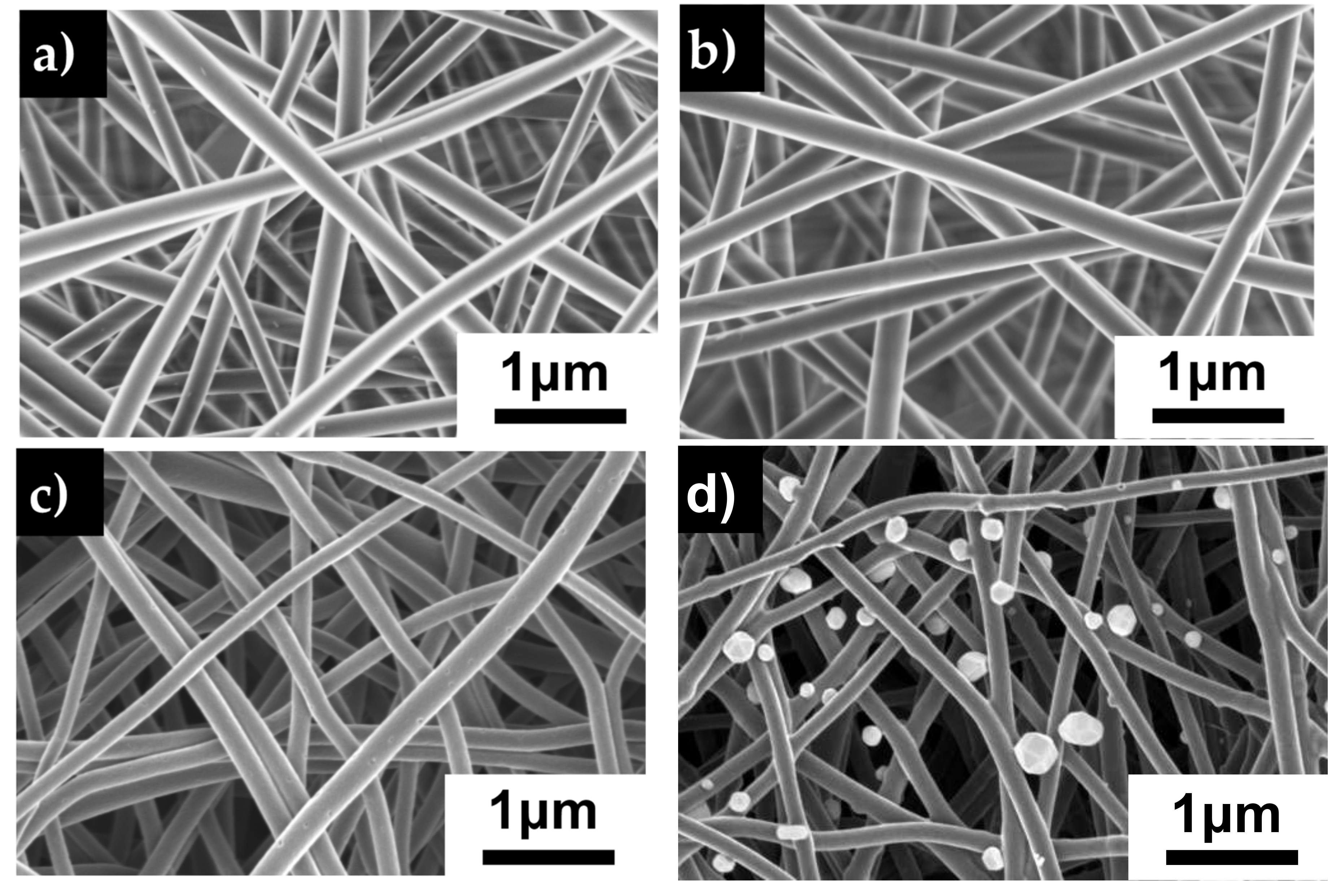 Polymers 12 01117 g003a Polymers 12 01117 g003a