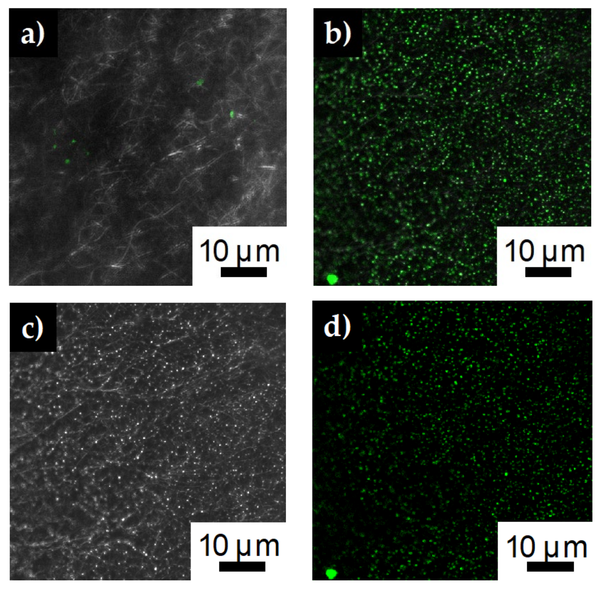 Polymers 12 01117 g005 Polymers 12 01117 g005