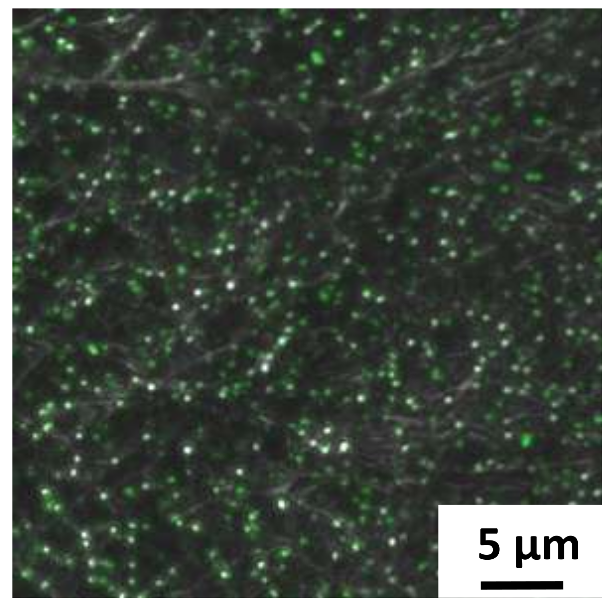 Polymers 12 01117 g006 Polymers 12 01117 g006