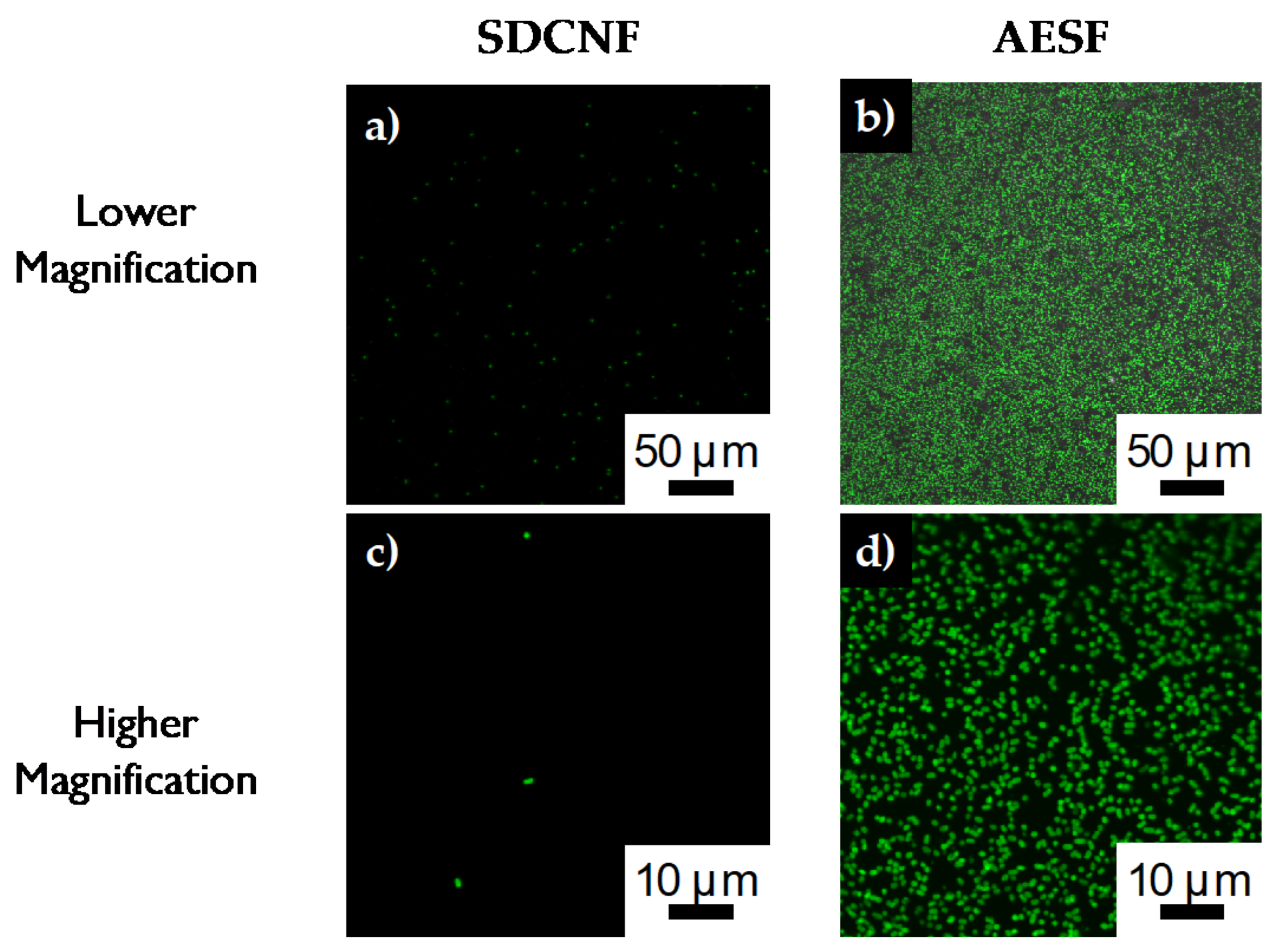 Polymers 12 01117 g009 Polymers 12 01117 g009